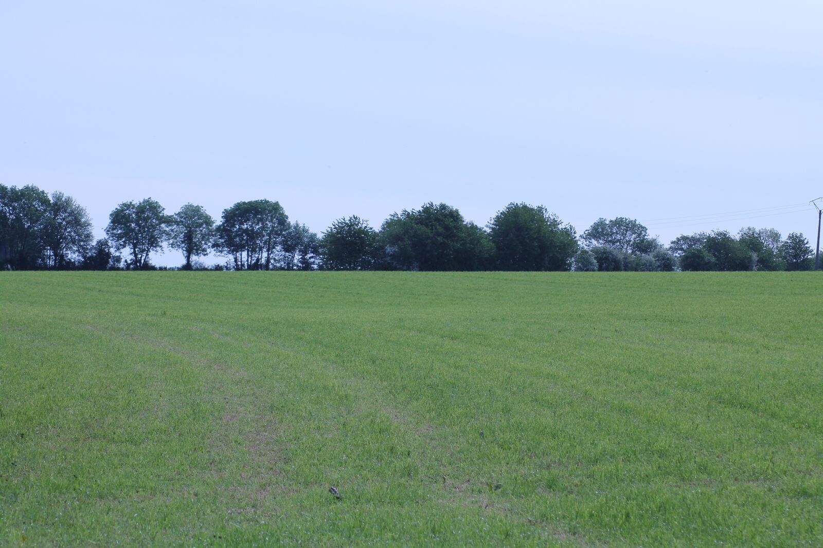 Canon EOS 1100D (EOS Rebel T3 / EOS Kiss X50) sample photo. Prairie, scope, landscape photography