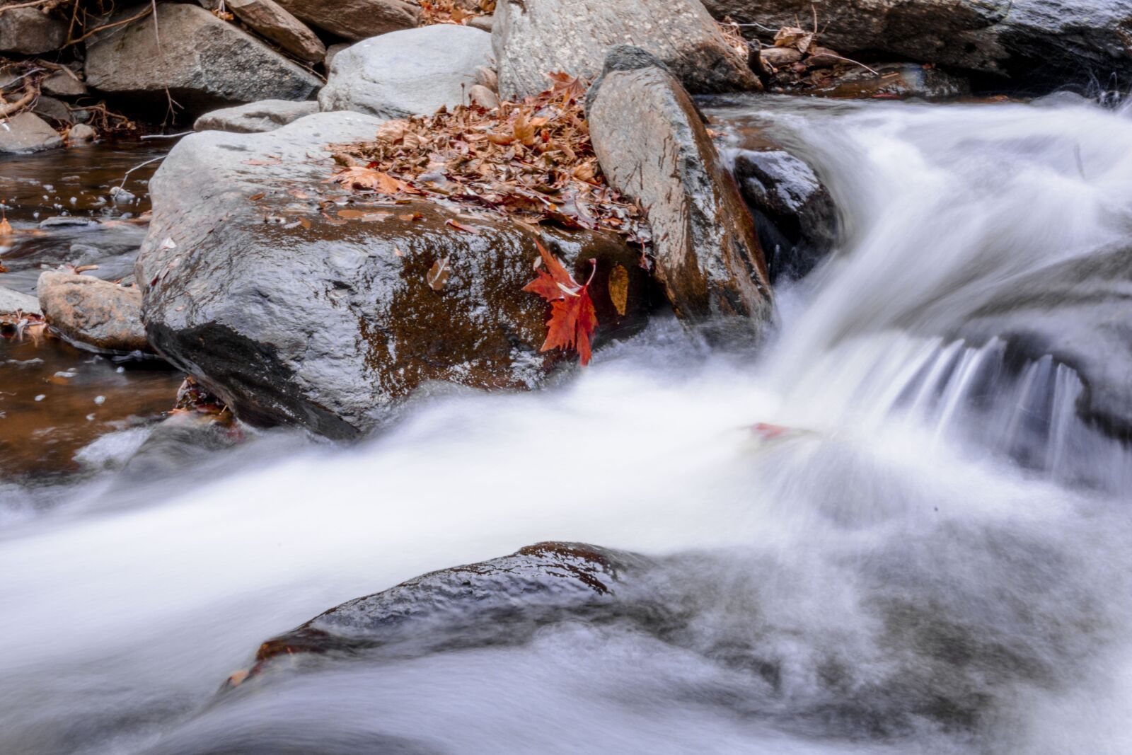 Nikon D7100 sample photo. Autumn, nature, water photography
