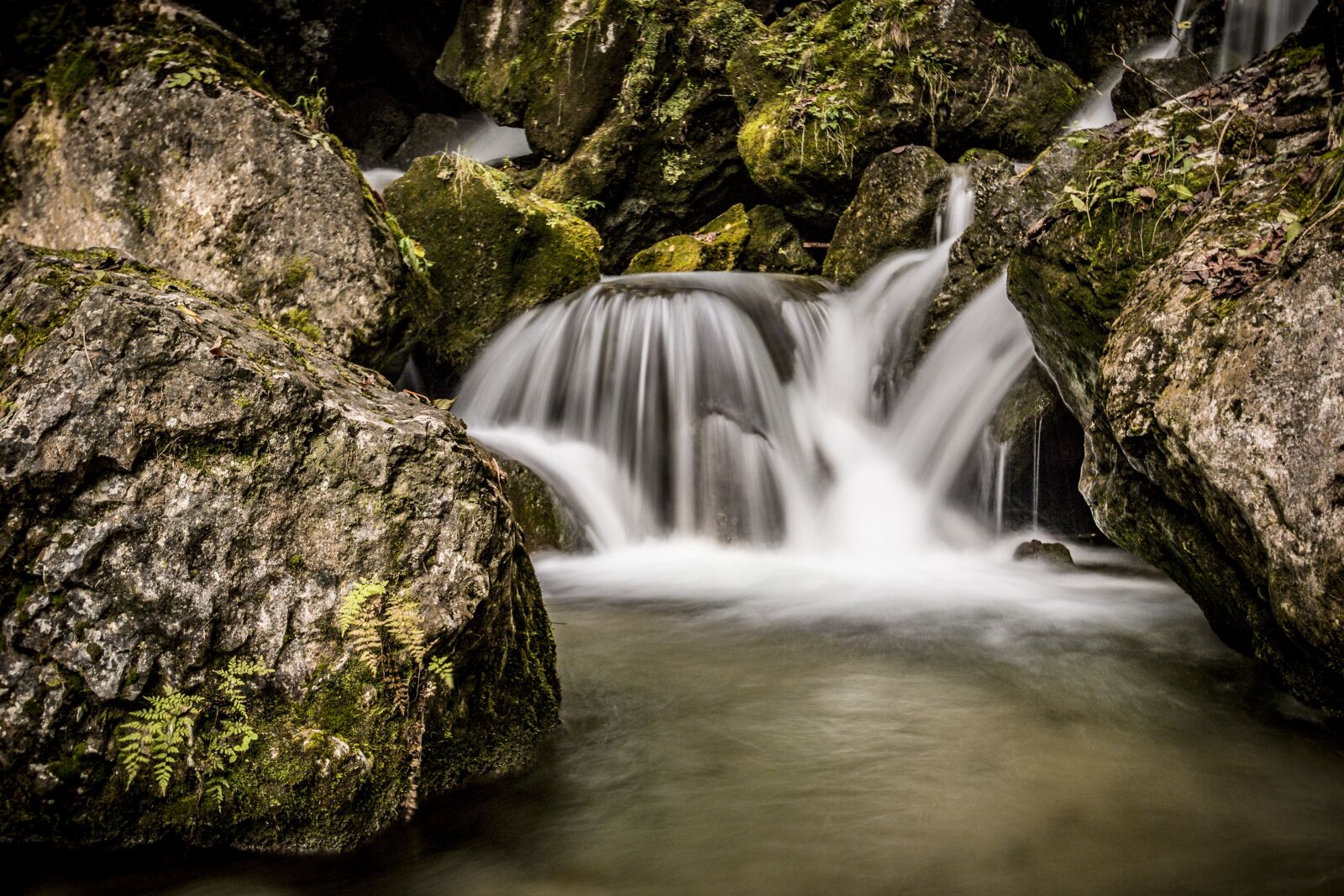 Canon EOS 70D sample photo. Water, bach, river photography