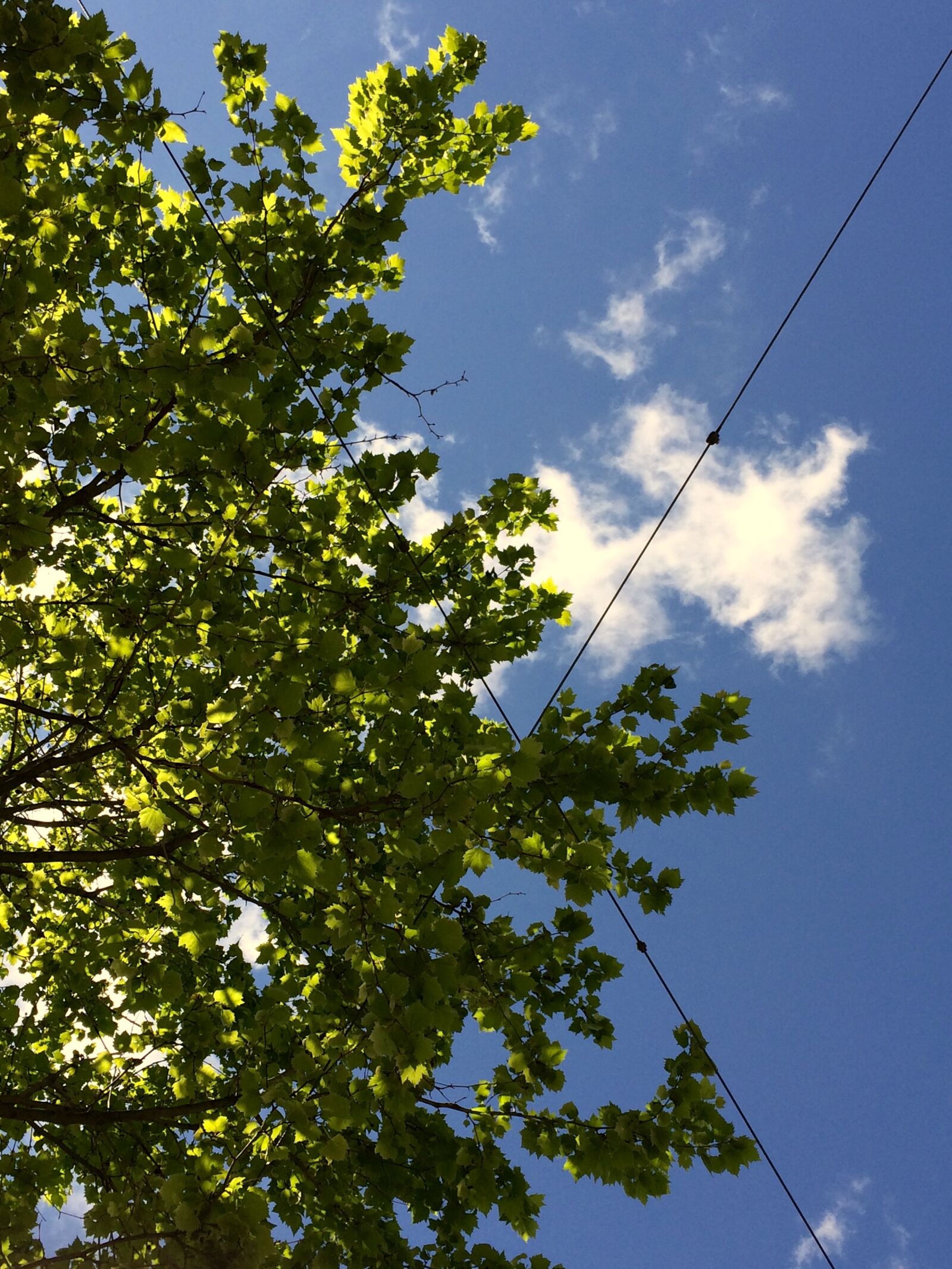 Apple iPhone 5s sample photo. Blue, clouds, geometry, green photography