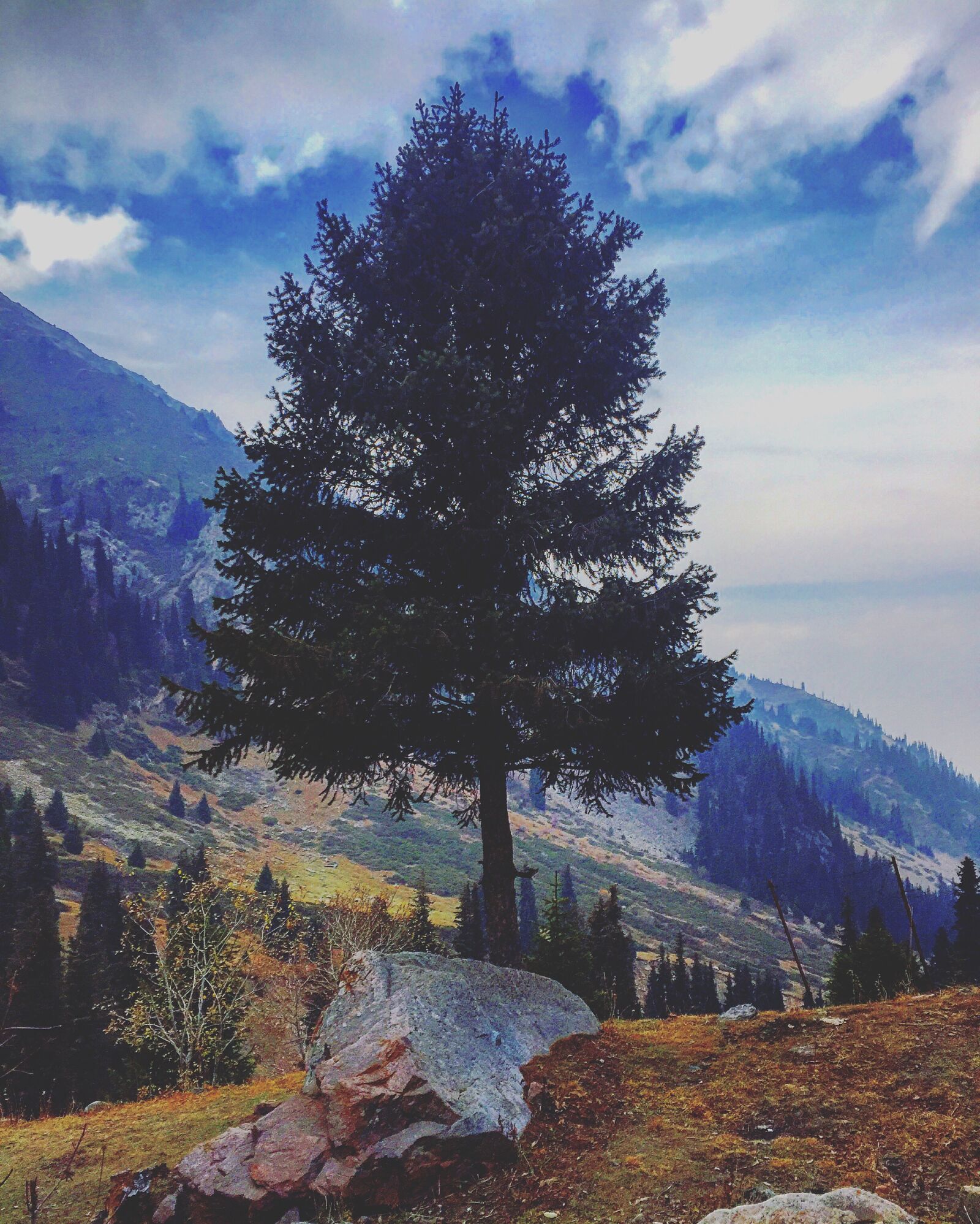 Apple iPhone 6 sample photo. Air, autumn, beautiful, color photography