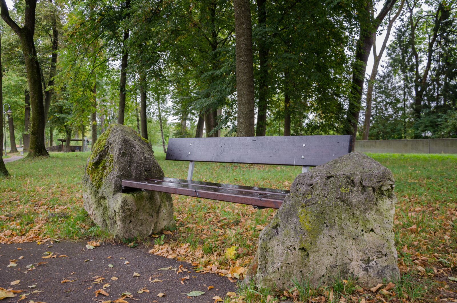 Nikon D5100 sample photo. Danube, park, bank photography