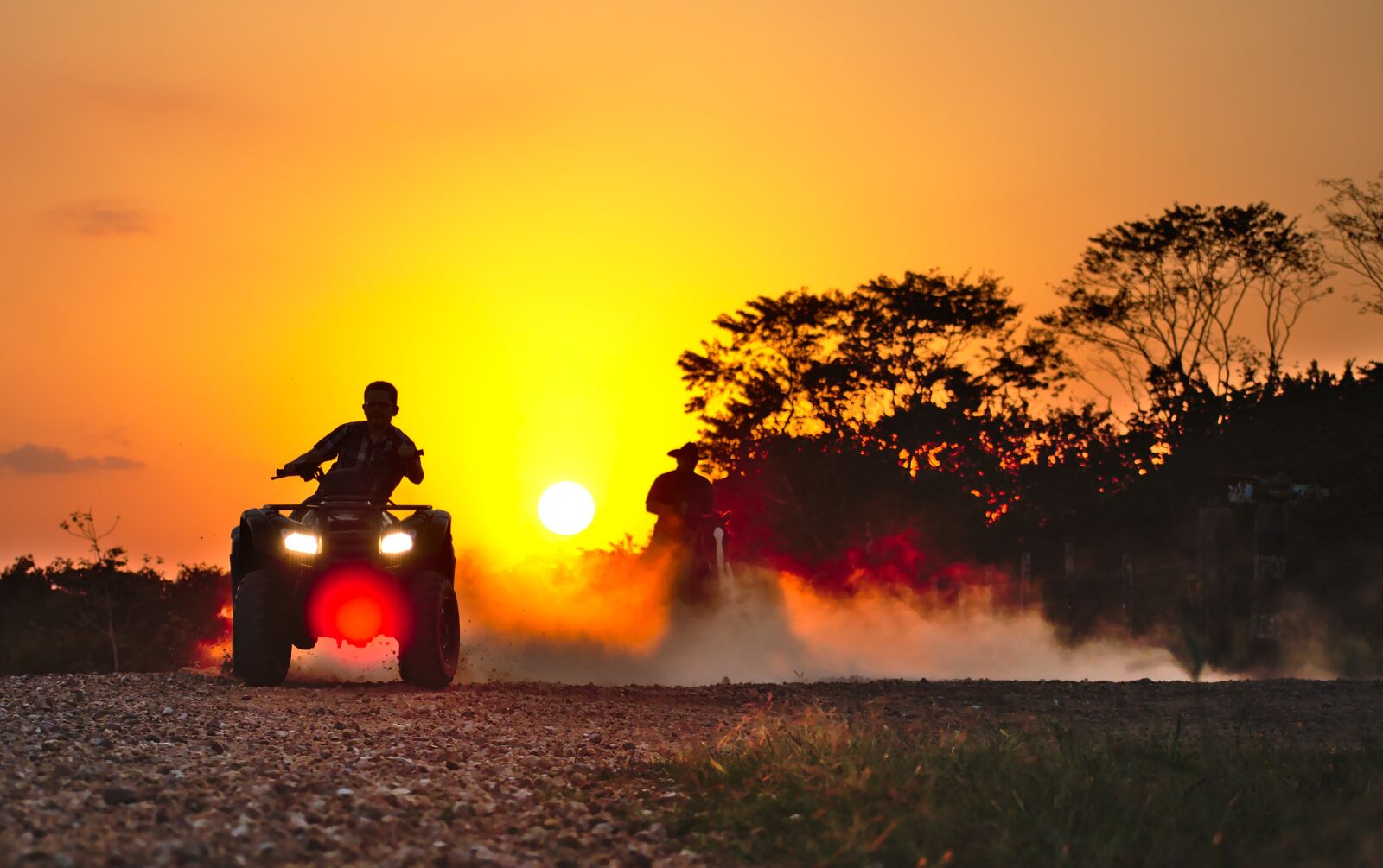 Nikon D7200 sample photo. Quad, drift, dust horse photography