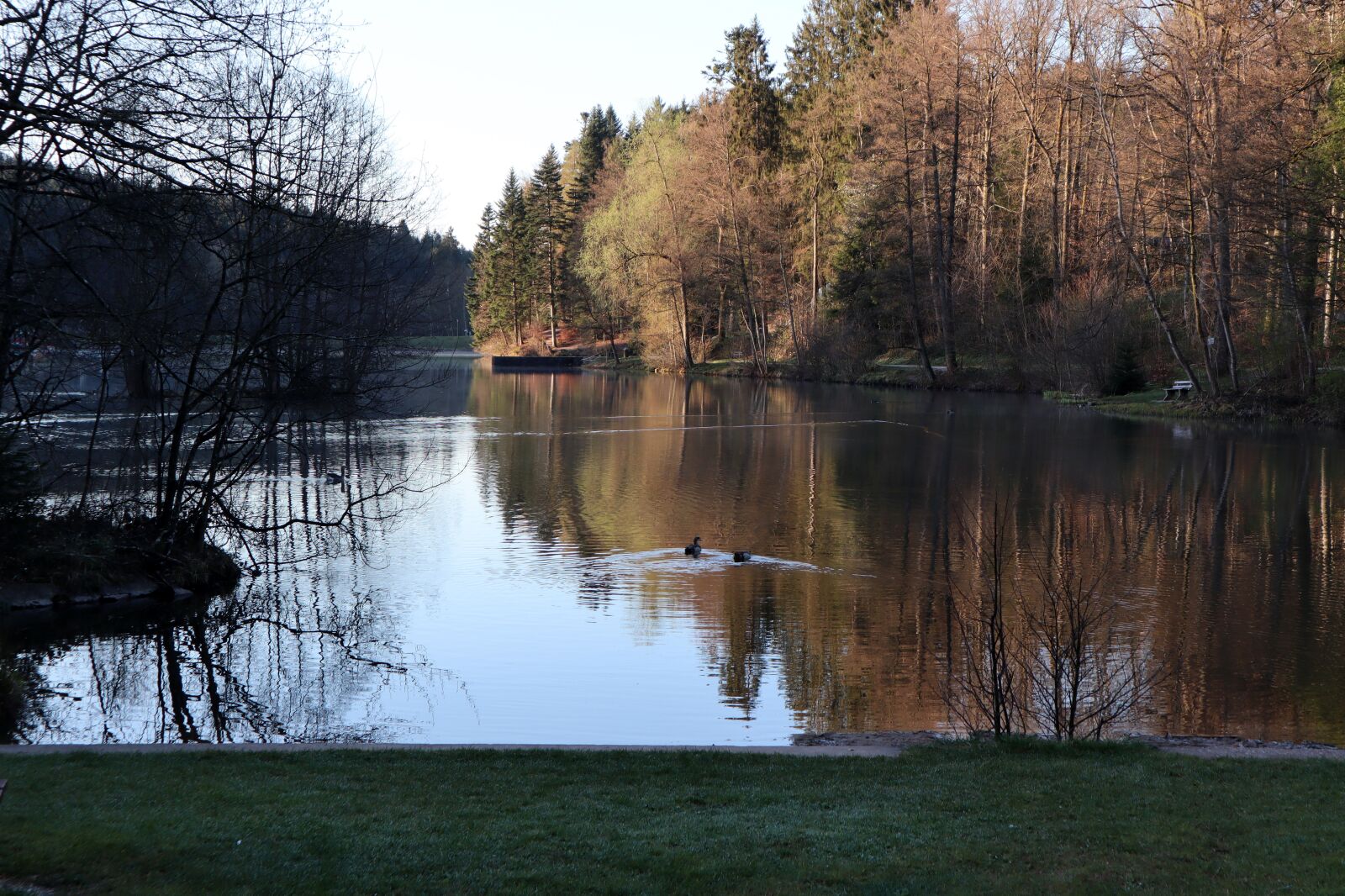 Canon EOS M50 (EOS Kiss M) sample photo. Lake, mirroring, calm photography