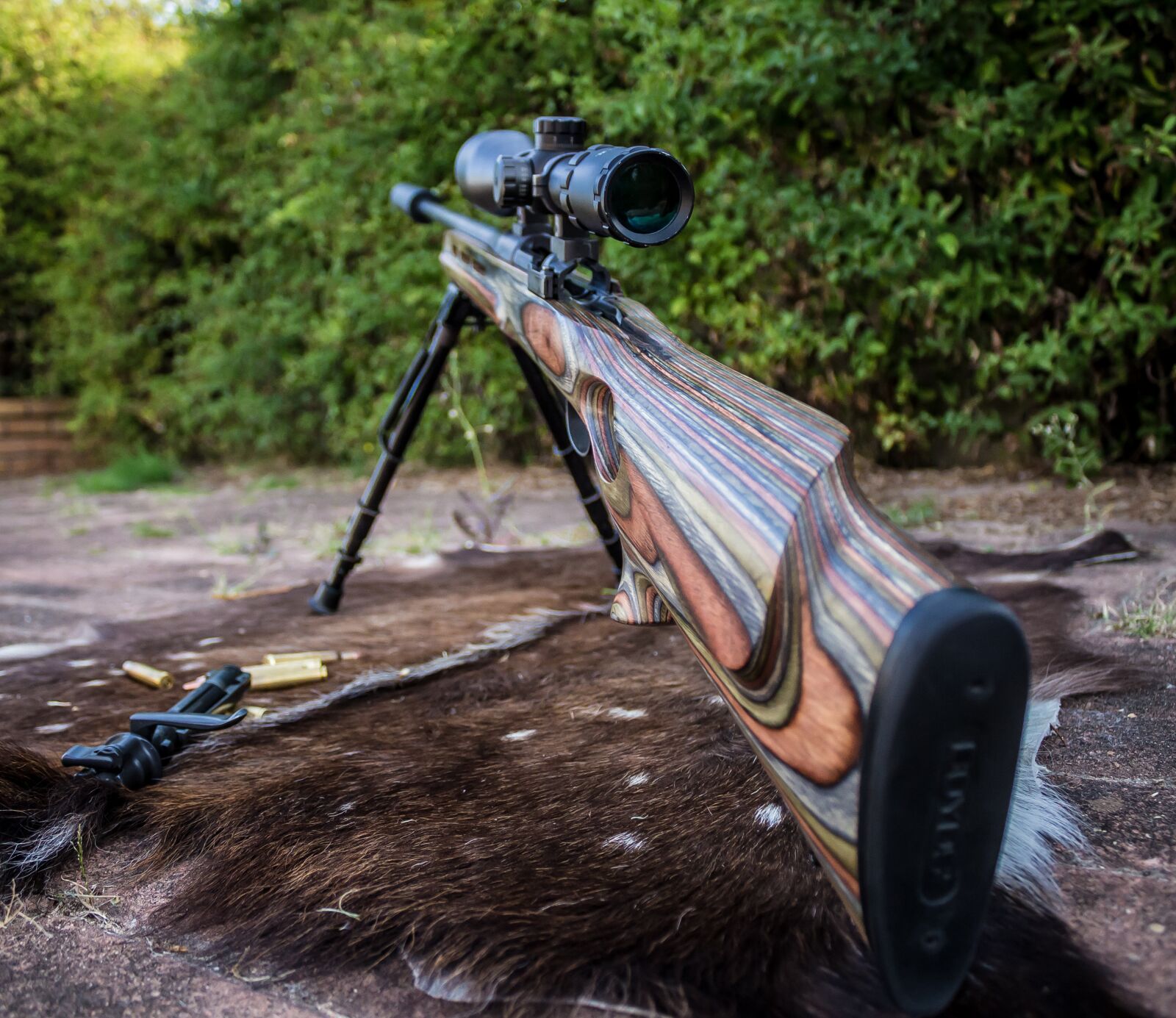 Canon EOS 100D (EOS Rebel SL1 / EOS Kiss X7) sample photo. Rifle, scope, weapon photography