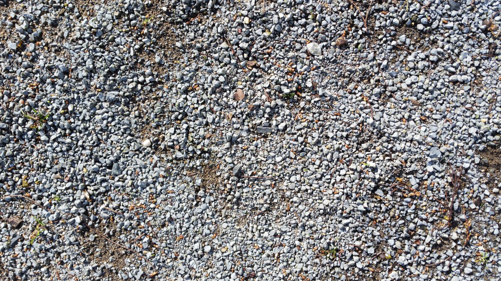 Samsung Galaxy Note4 sample photo. Background, texture, pebble photography