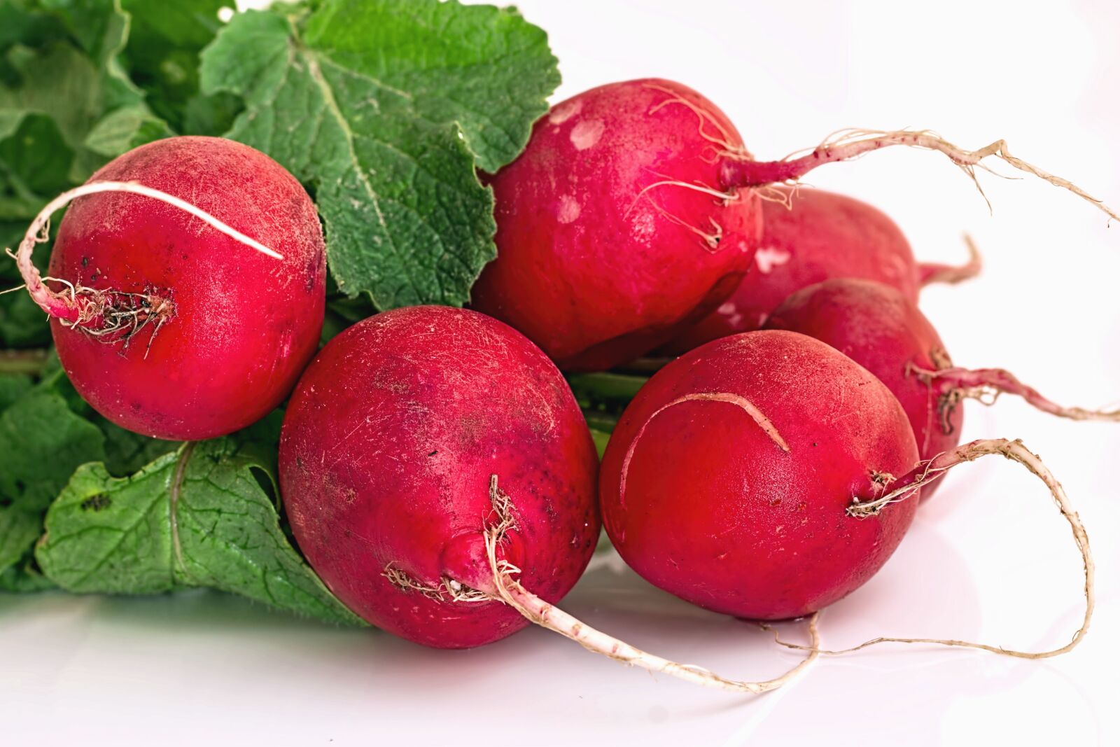 Canon EOS 70D sample photo. Radish, vegetable, plant,leaf, organic photography
