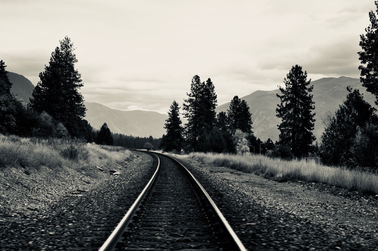 Nikon D5000 sample photo. America, usa, train photography