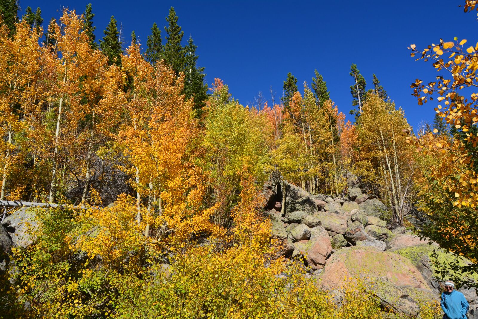 Nikon D5200 sample photo. Landscape, mountains, scenic photography