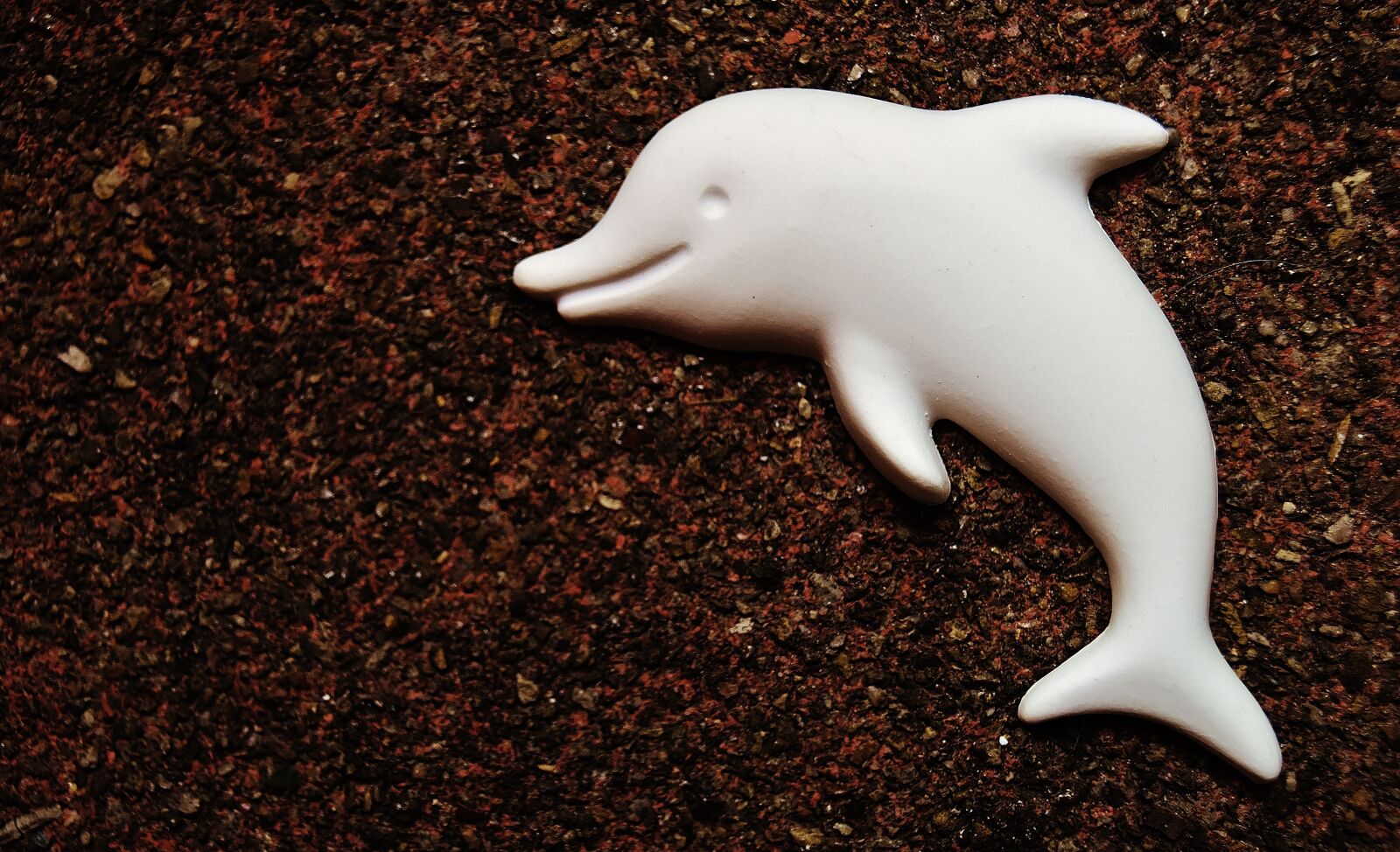 Nikon D7200 sample photo. Dolphin, gypsum, blank photography