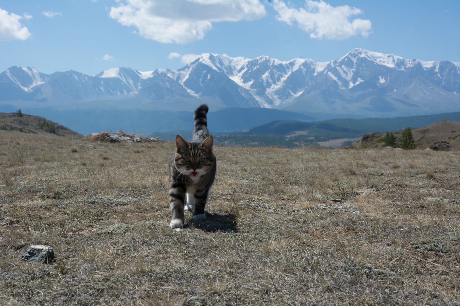 Nikon D7100 sample photo. The north-chuyskiy ridge, altai photography