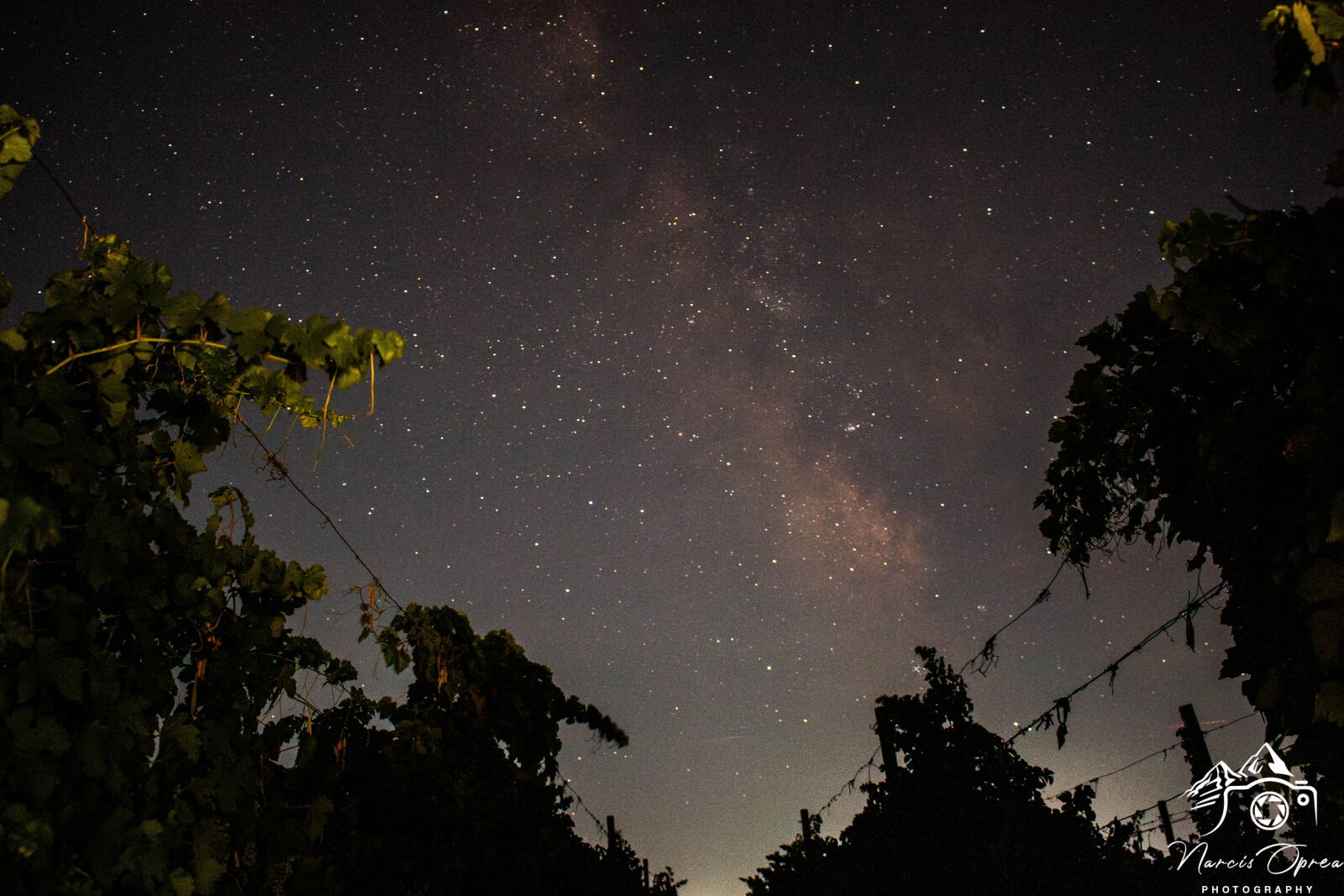 Canon EOS 70D sample photo