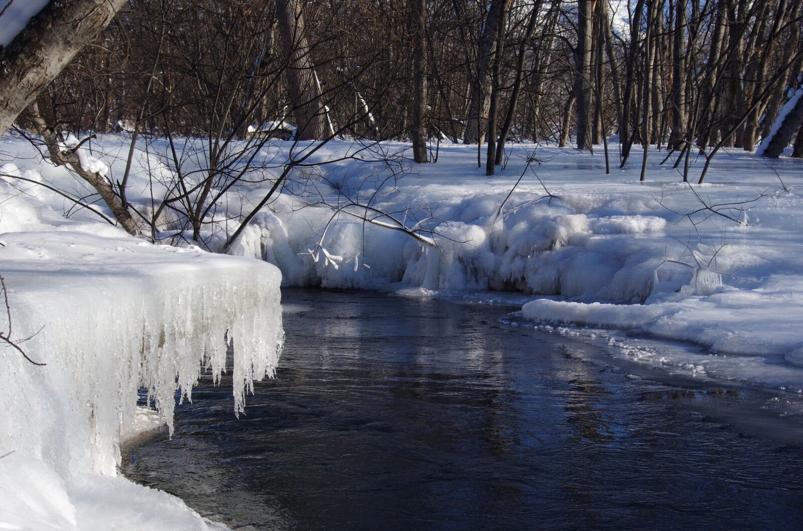 Pentax K-5 sample photo. River, back on track photography