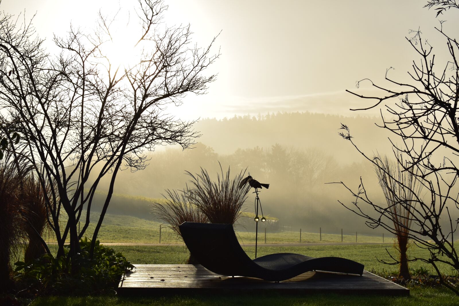 Nikon D5500 sample photo. Landscape, fog, morning sun photography
