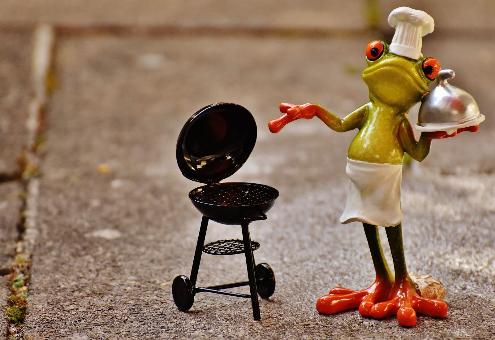 Nikon D7200 sample photo. Frog, cooking, grill photography