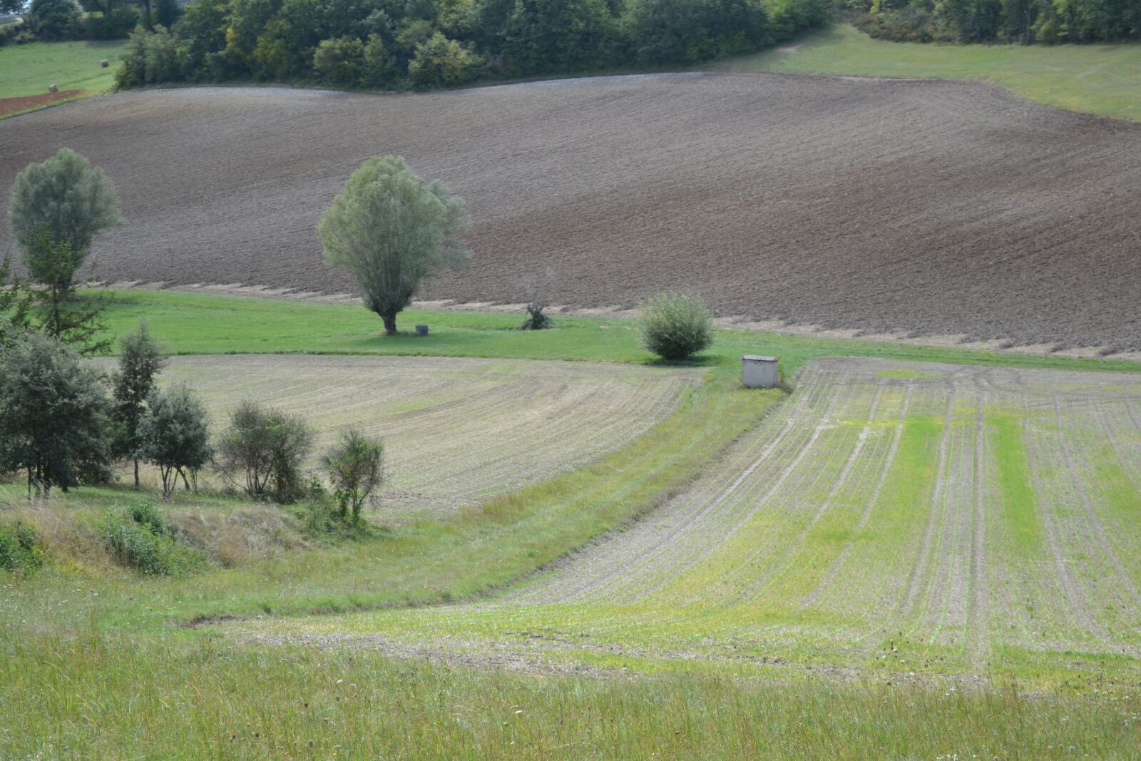 Nikon D3100 sample photo. Field, spring, landscape photography