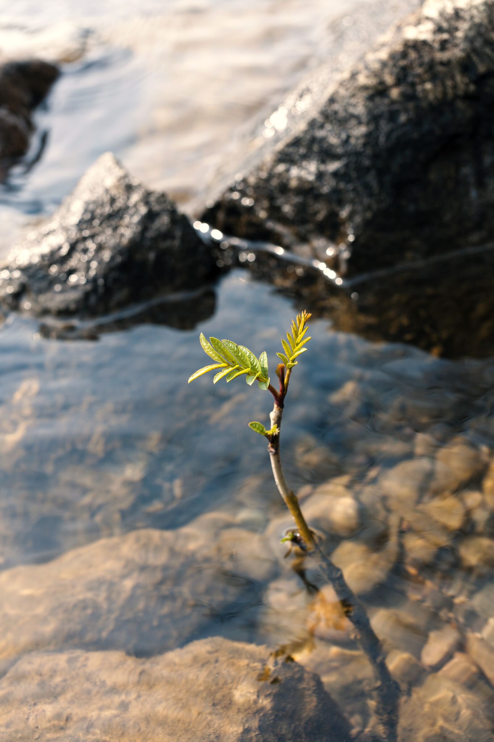 Canon EOS 5D sample photo. Nature, water, rock photography