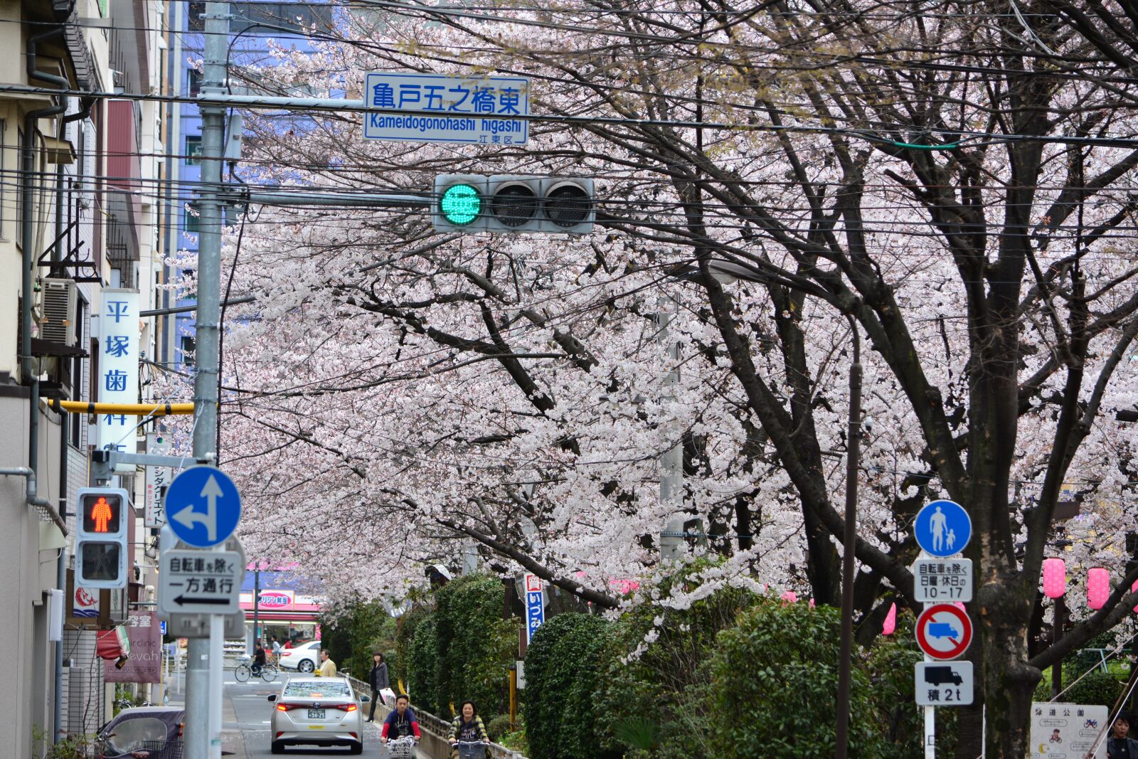 Nikon D5200 sample photo. Japan, cherry blossom, full photography