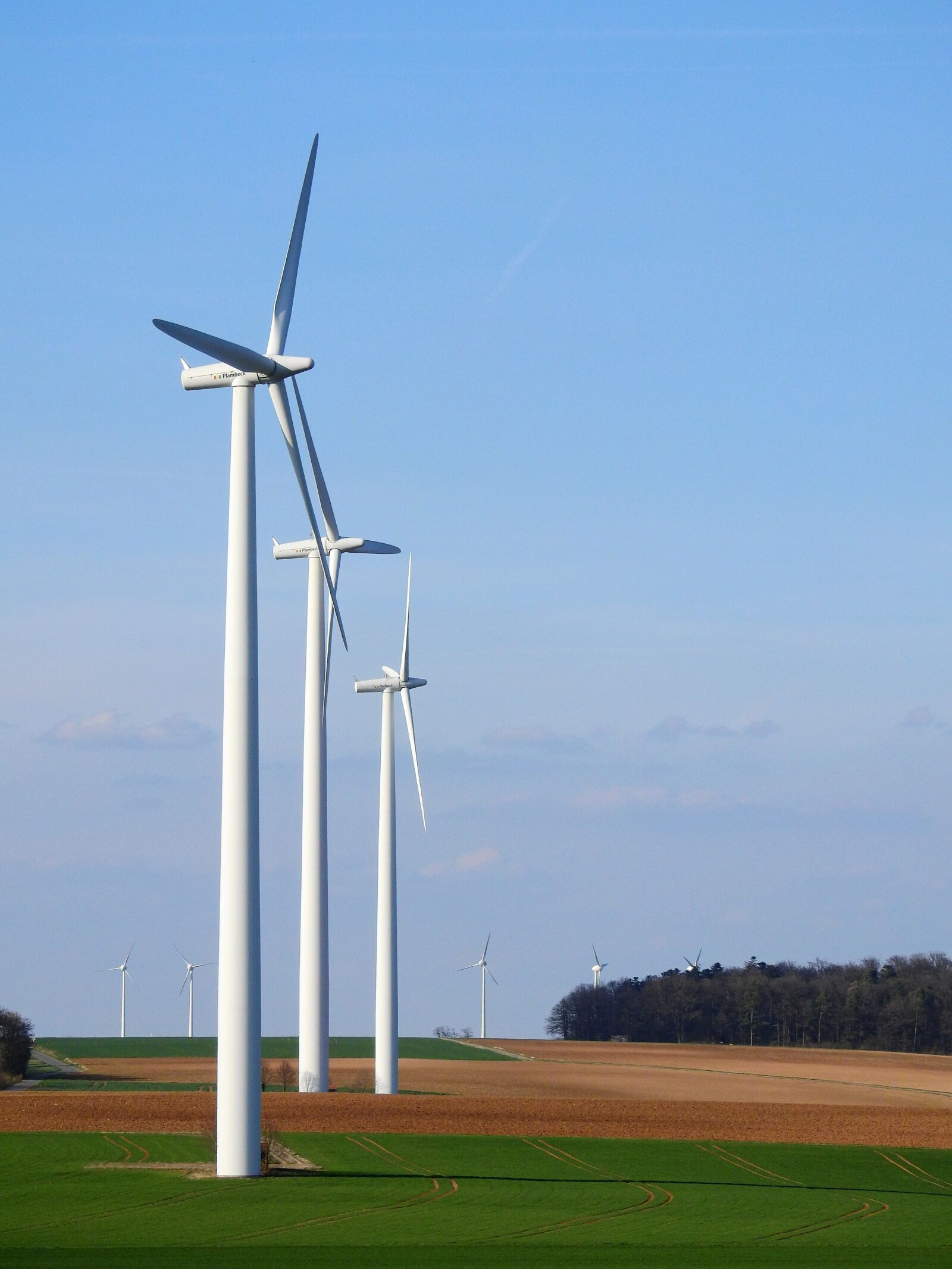 Nikon Coolpix P900 sample photo. Pinwheel, energy, eco photography