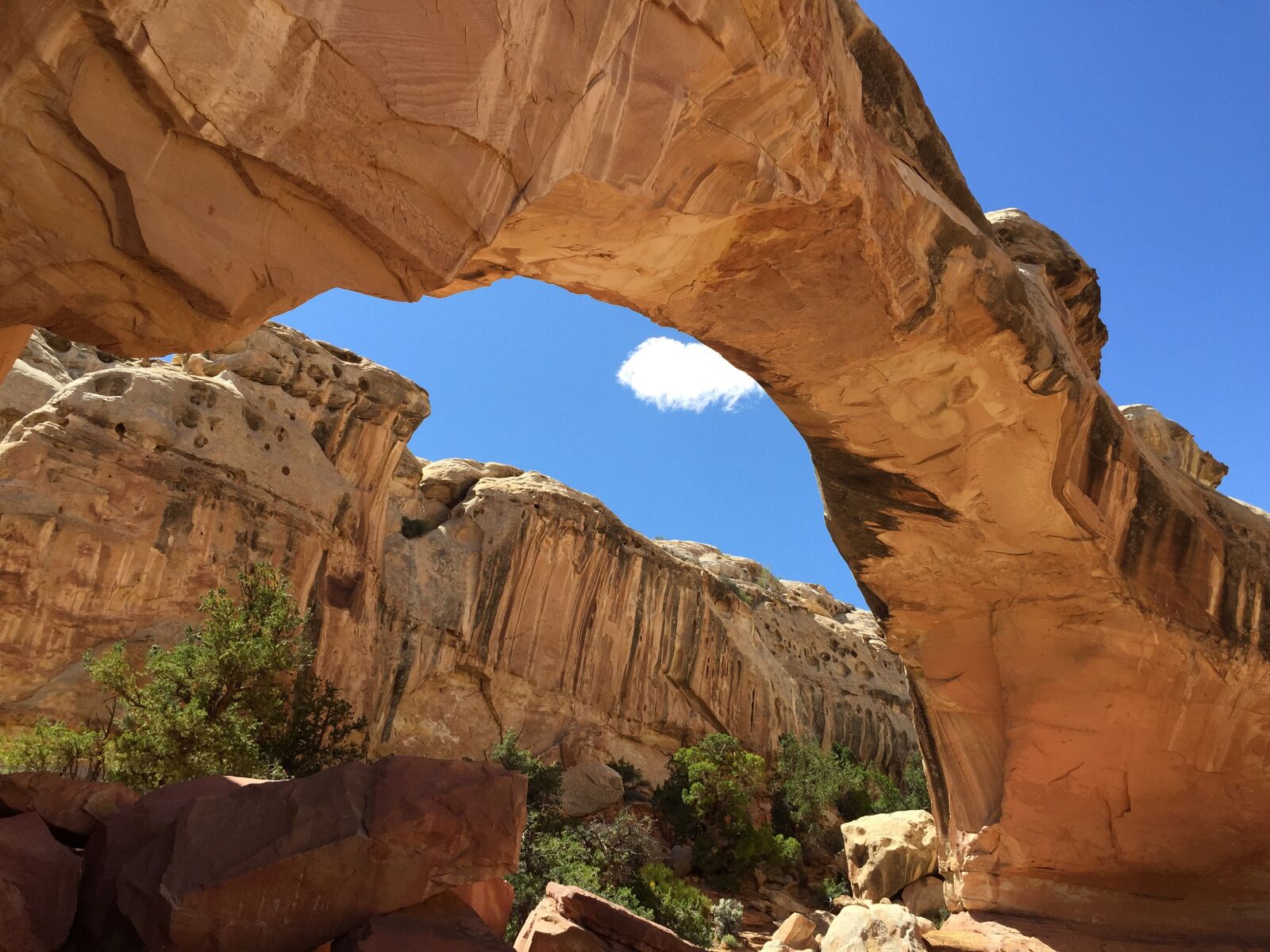 Apple iPhone 6 sample photo. Capitol reef, national park photography