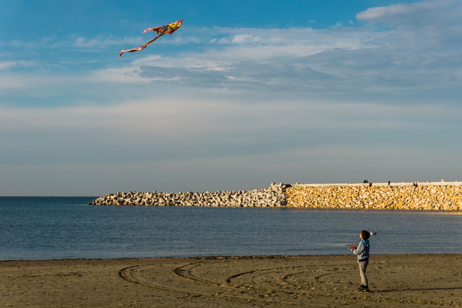 Sony a6000 sample photo. Beach, kite, child photography