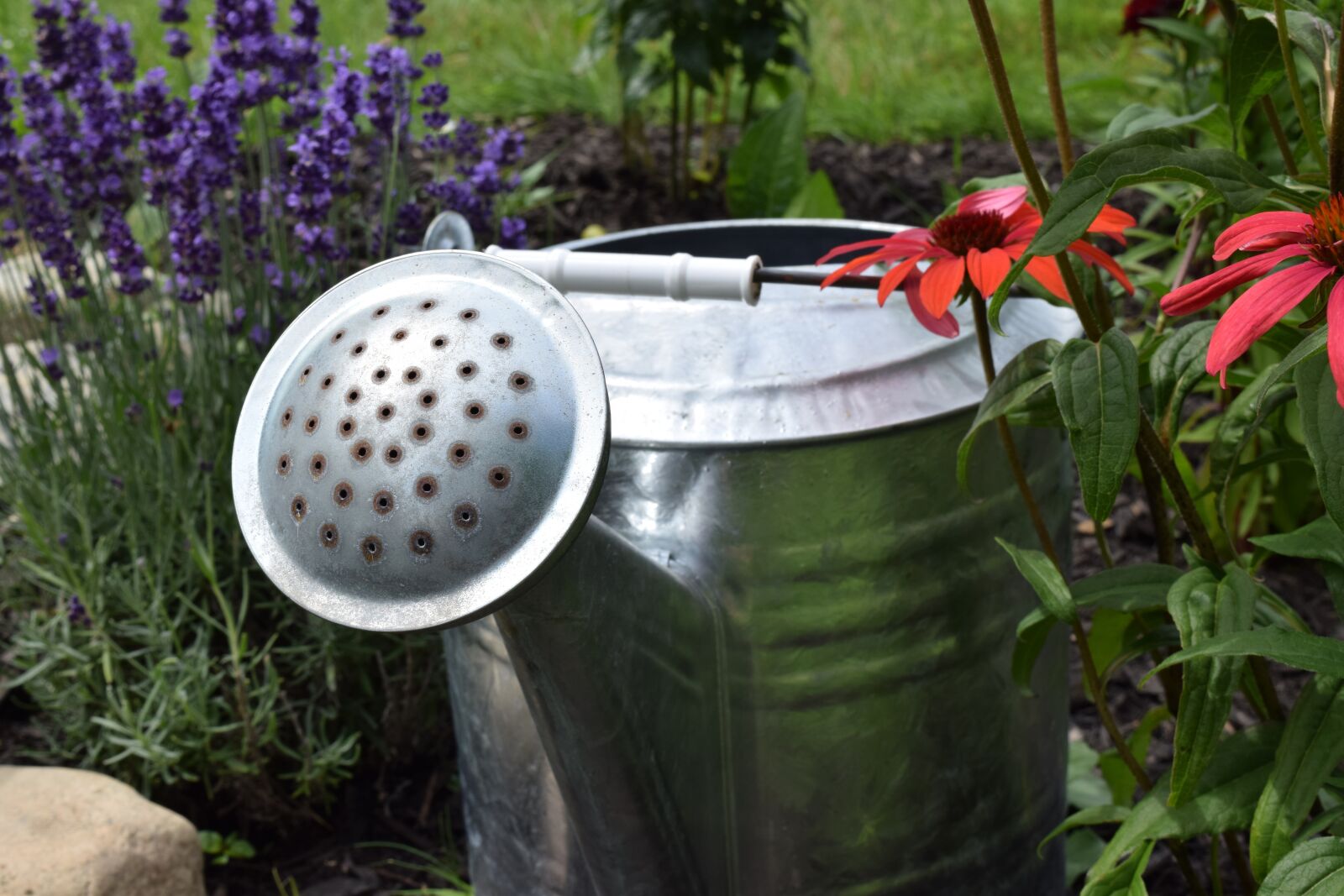 Nikon D5300 sample photo. Garden, watering can, watering photography