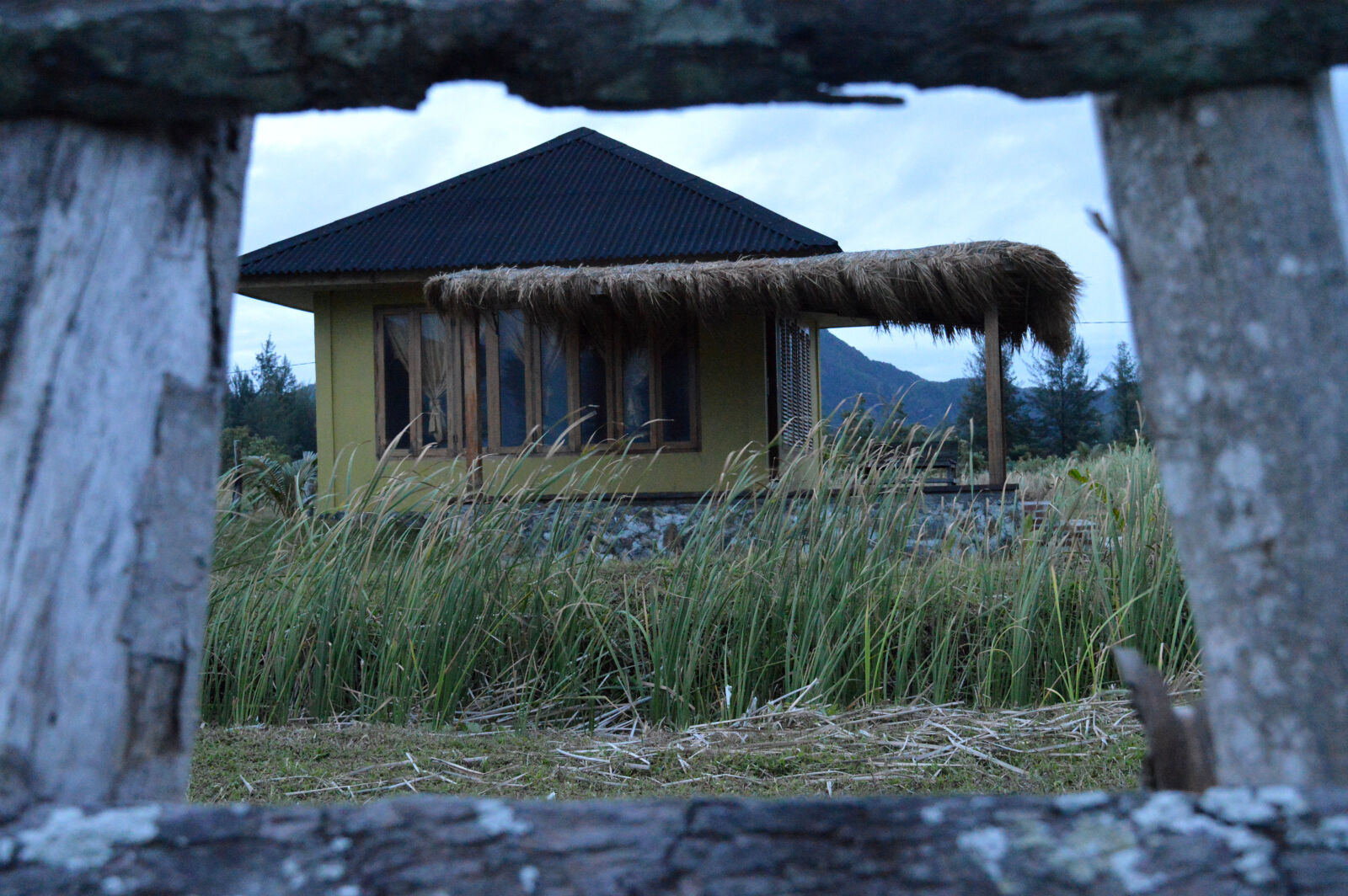 Nikon D3200 sample photo. Home, nature, resort, workplace photography