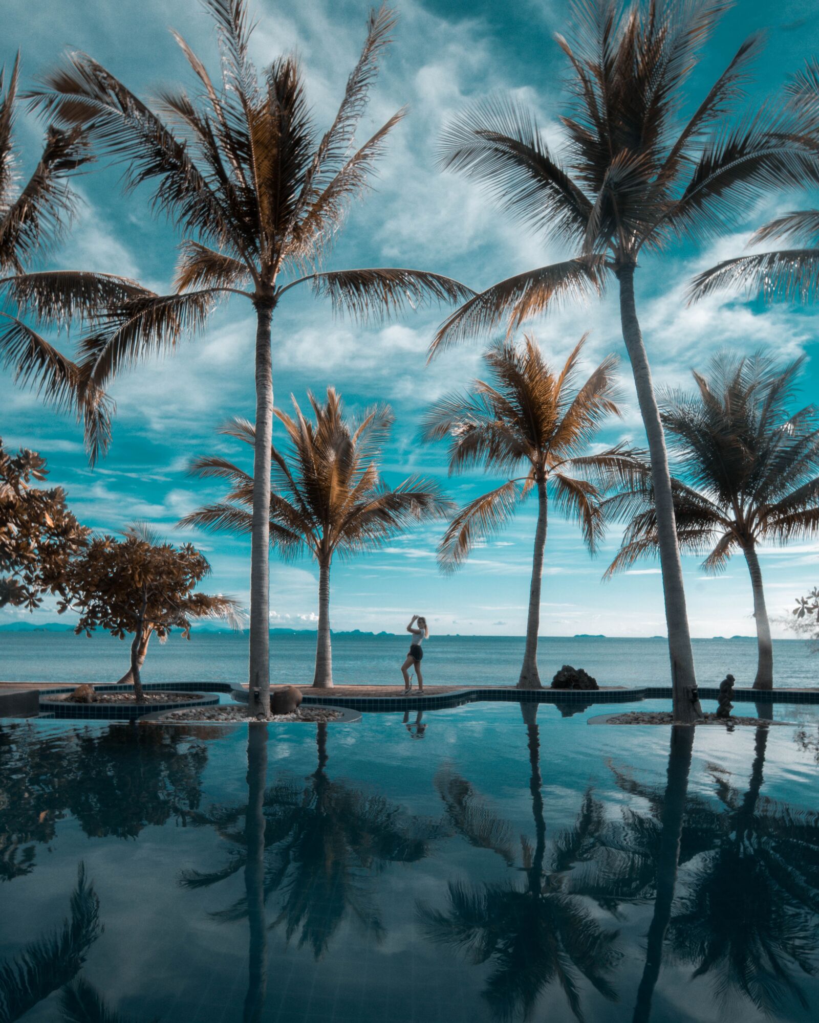 Sony a6300 sample photo. Palm trees, sky, beach photography