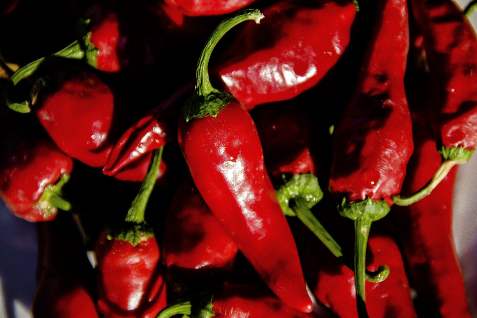 Canon EOS 650D (EOS Rebel T4i / EOS Kiss X6i) sample photo. Red pepper, burning, red photography