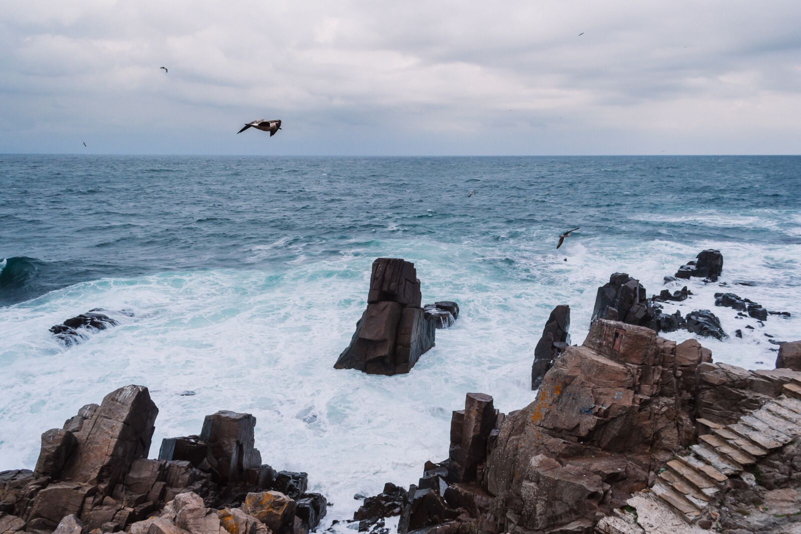Nikon D3100 sample photo. Nature, black, black sea photography
