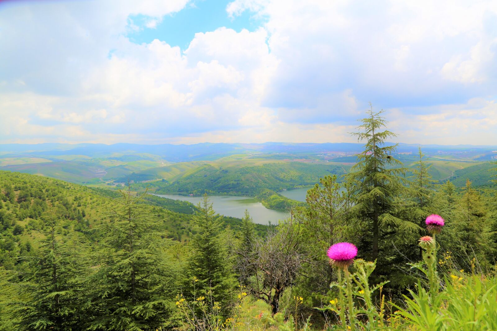 Canon EOS 5D Mark III sample photo. Landscape, nature, lake photography