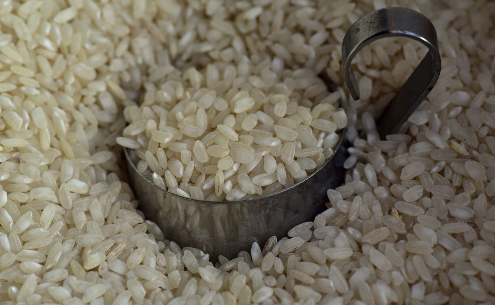 Nikon D750 sample photo. Rice, rice grains, food photography
