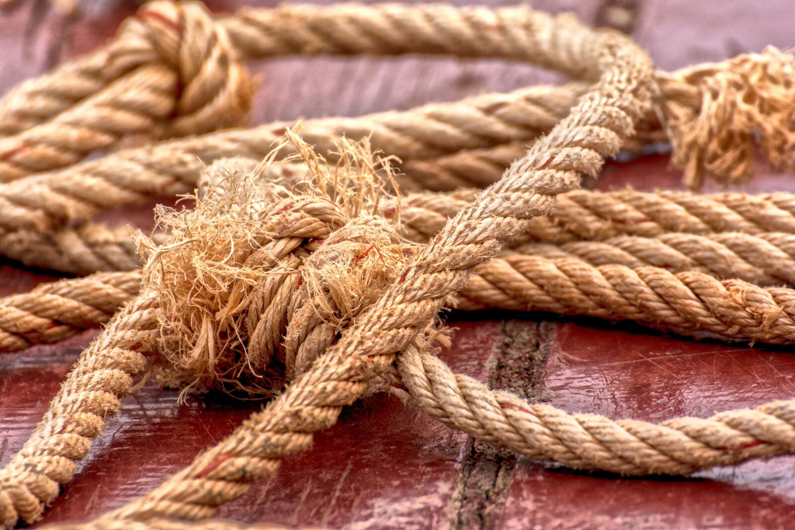 Nikon D7100 sample photo. Rope, dock, boat photography