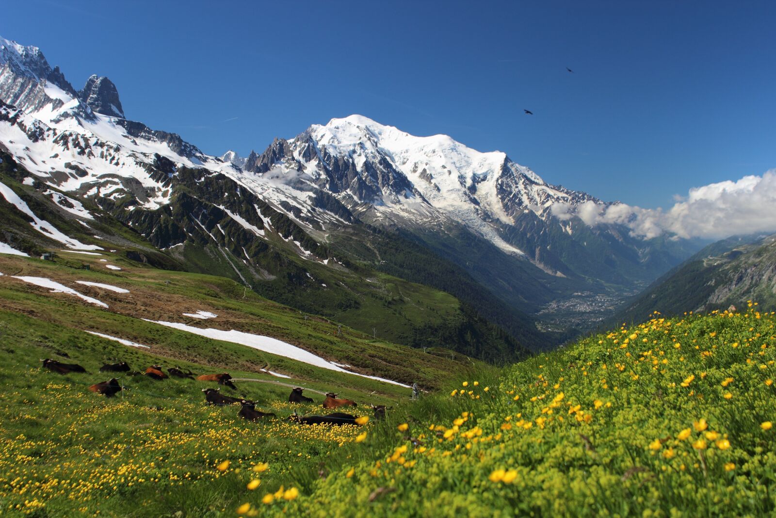 Canon EOS 600D (Rebel EOS T3i / EOS Kiss X5) sample photo. Mont blanc, tour mont photography