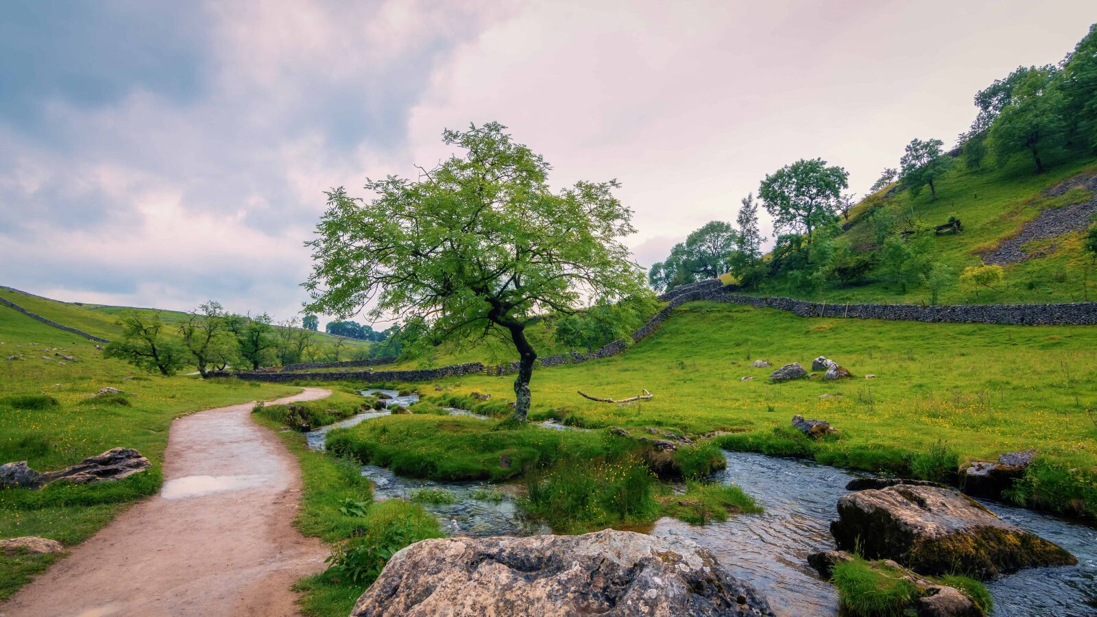 Nikon D7100 sample photo. Sky, summer, landscape, grass photography