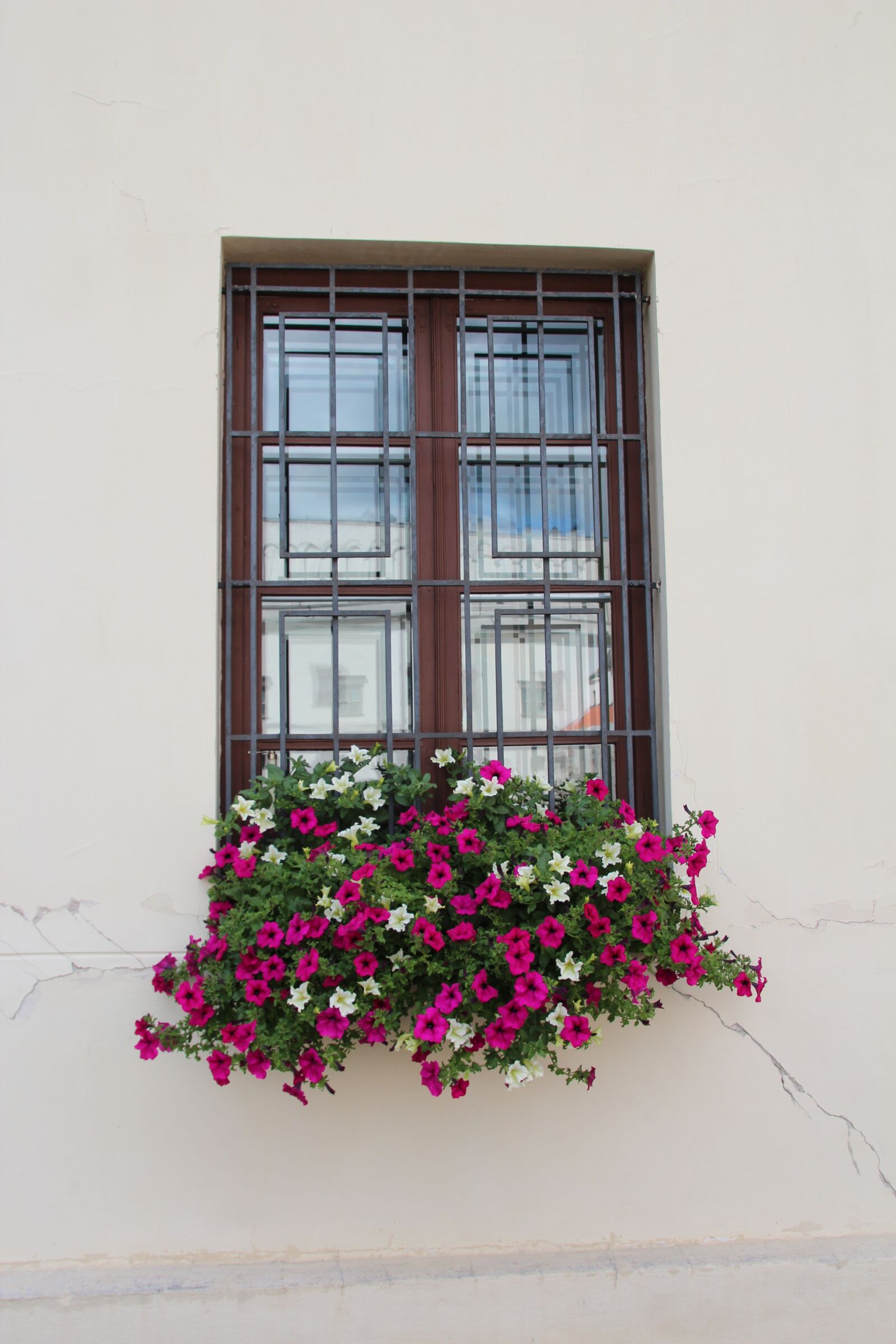 Canon EOS 600D (Rebel EOS T3i / EOS Kiss X5) sample photo. Window, flower box, decoration photography