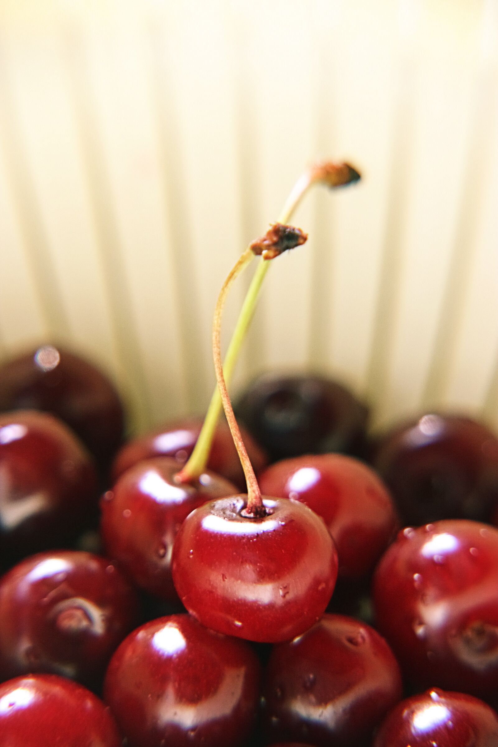 Canon EOS 300D (EOS Digital Rebel / EOS Kiss Digital) sample photo. Cherry, red, ripe photography