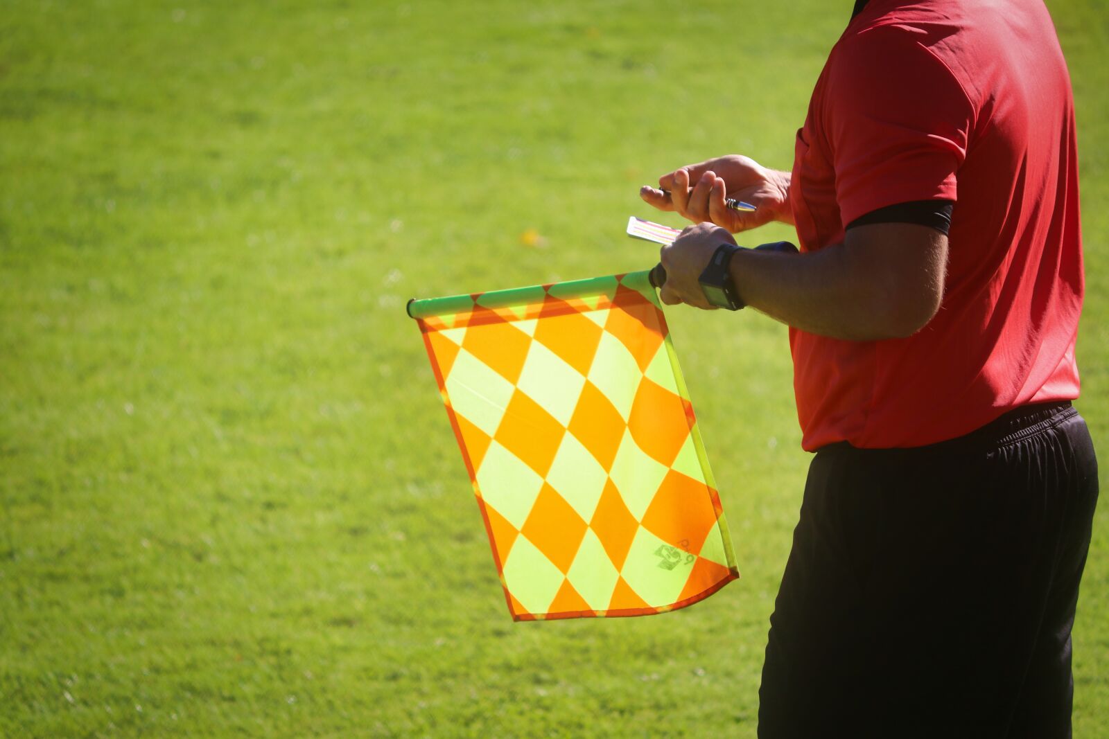 Canon EF-S 55-250mm F4-5.6 IS II sample photo. Linesman, offside, football photography