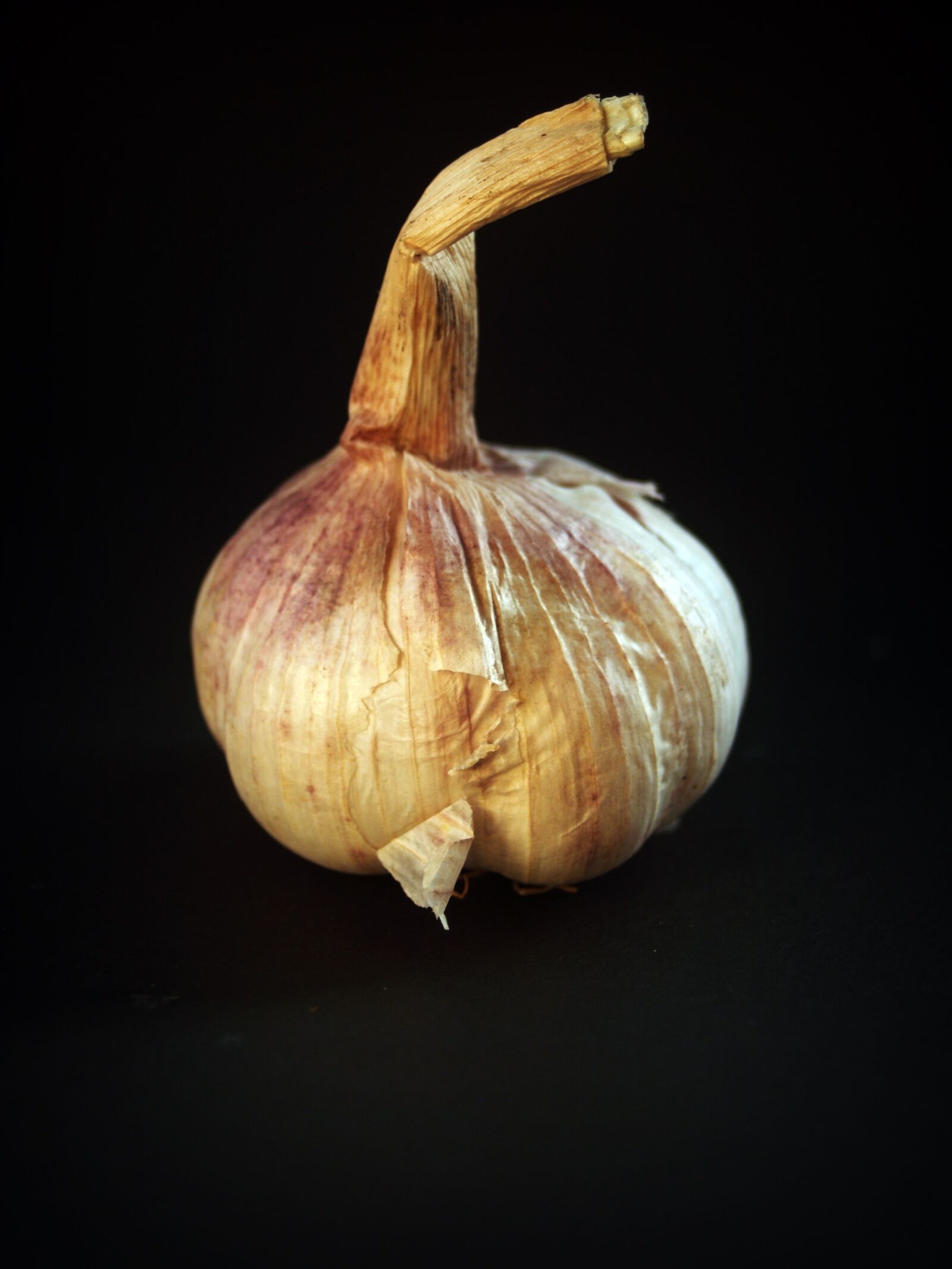 Olympus E-300 (EVOLT E-300) sample photo. Garlic, meals, white photography