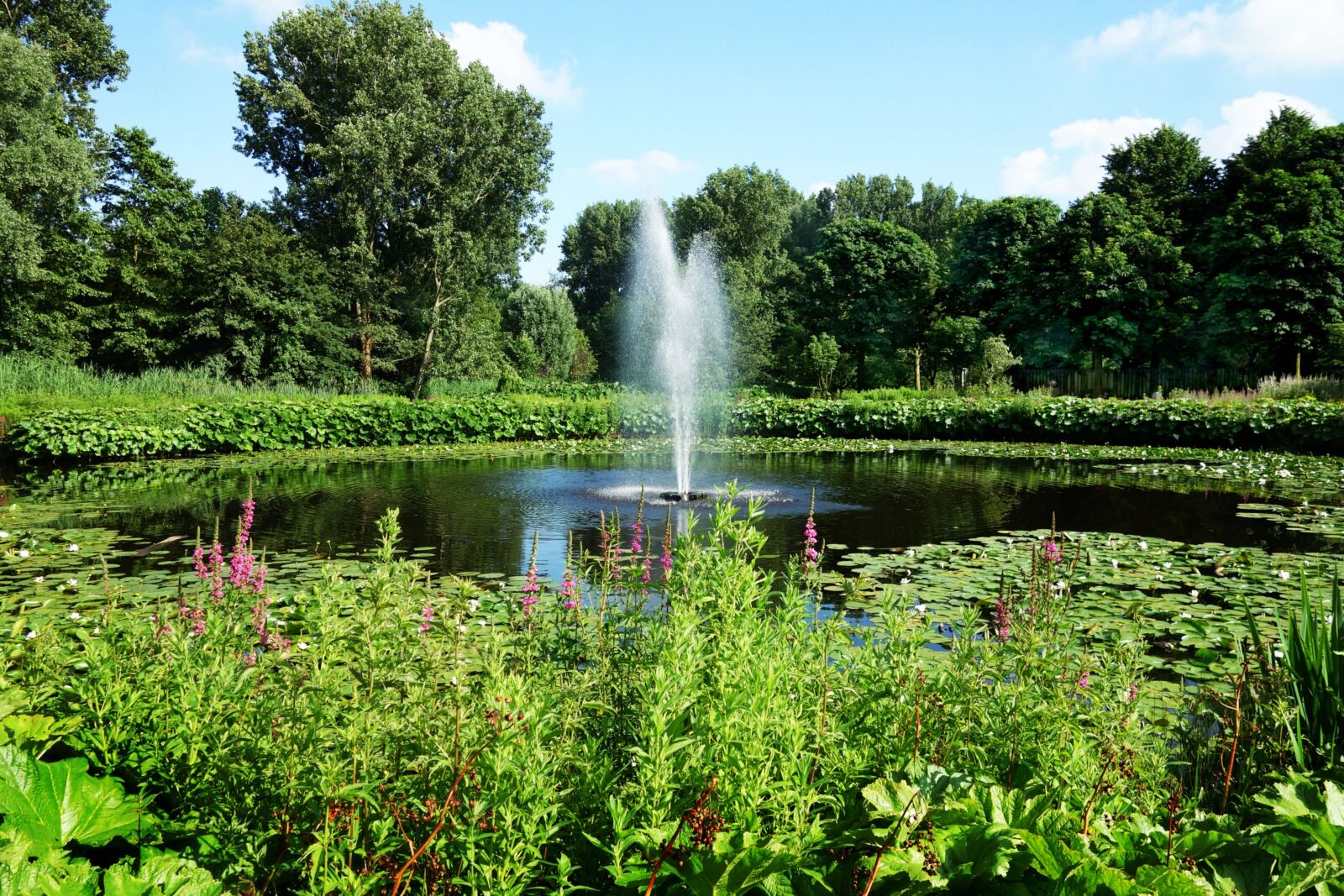 Sony Cyber-shot DSC-RX100 sample photo. Fountain, pond, spray photography