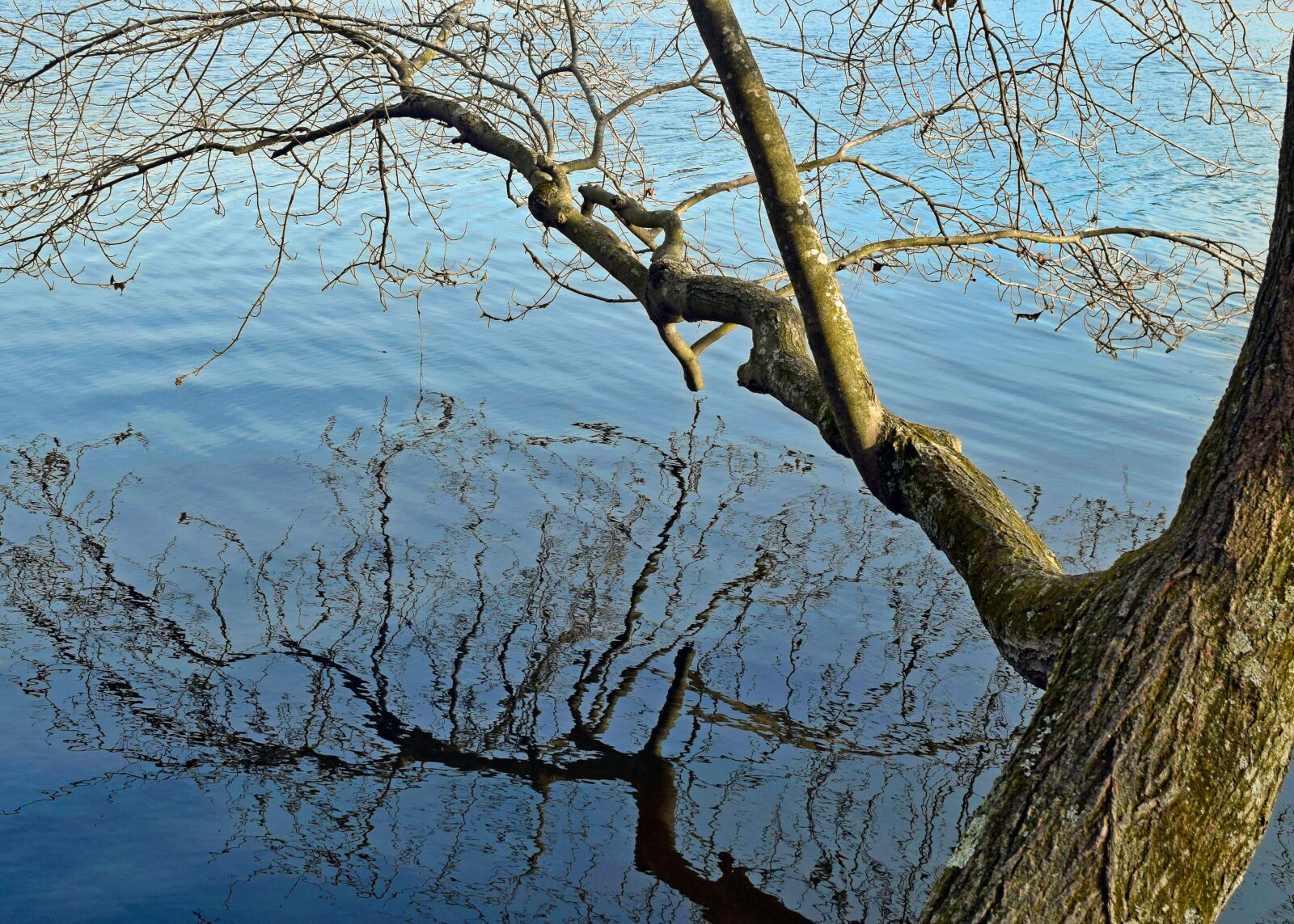 Nikon D3300 sample photo. Water, reflection, lake photography