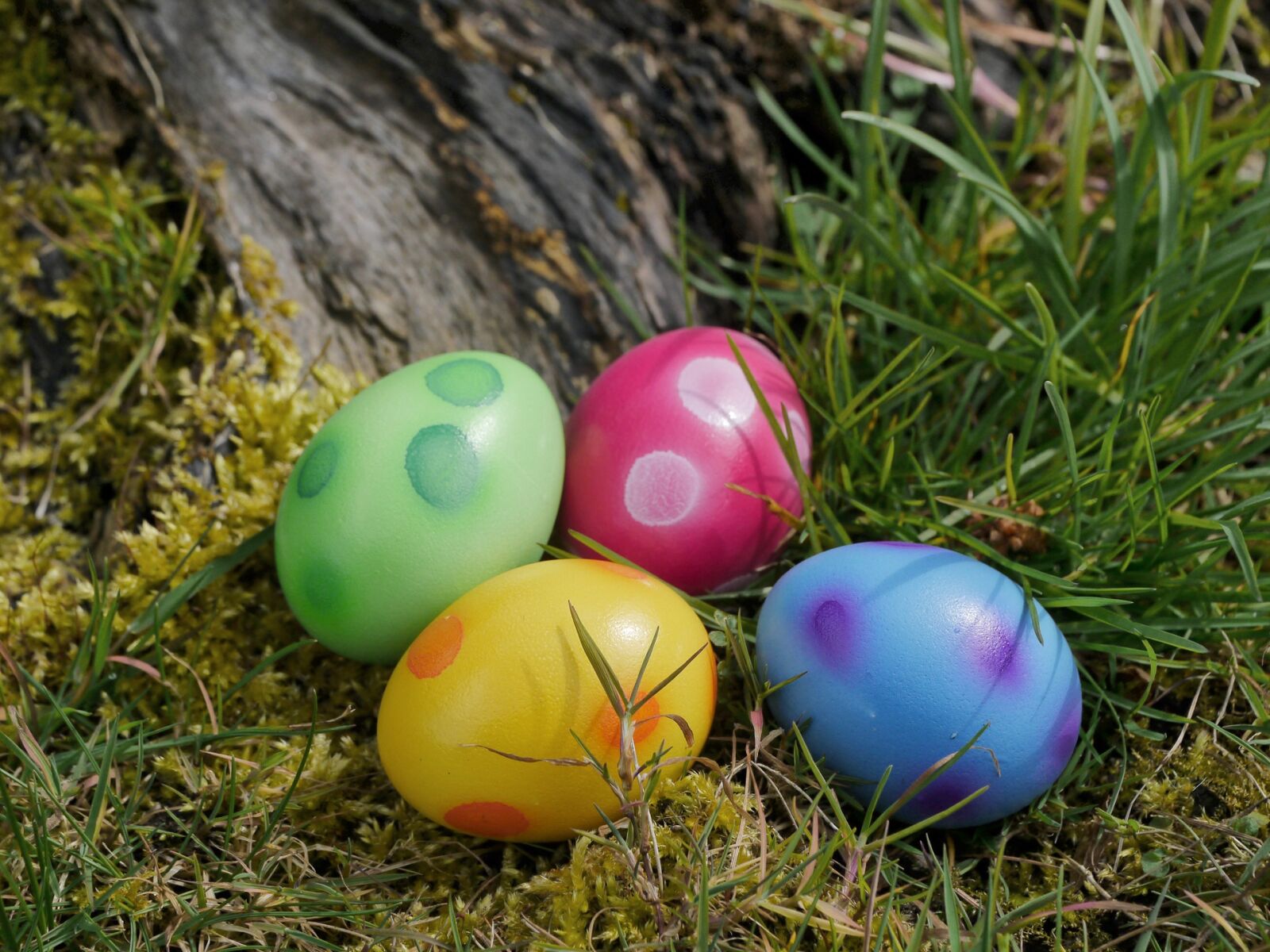 Panasonic Lumix DMC-GH2 sample photo. Easter, easter eggs, egg photography