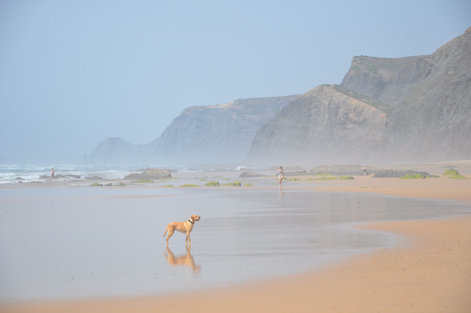 Nikon D90 sample photo. Portugal, beach, spray photography
