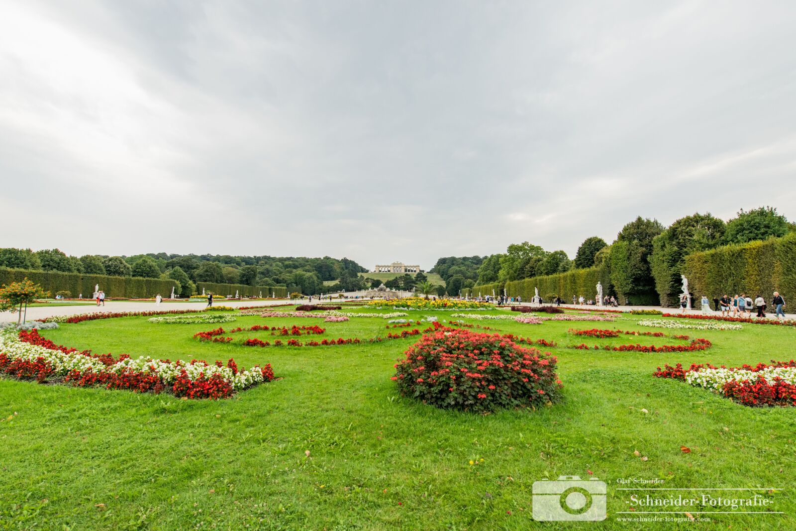 Nikon D850 sample photo