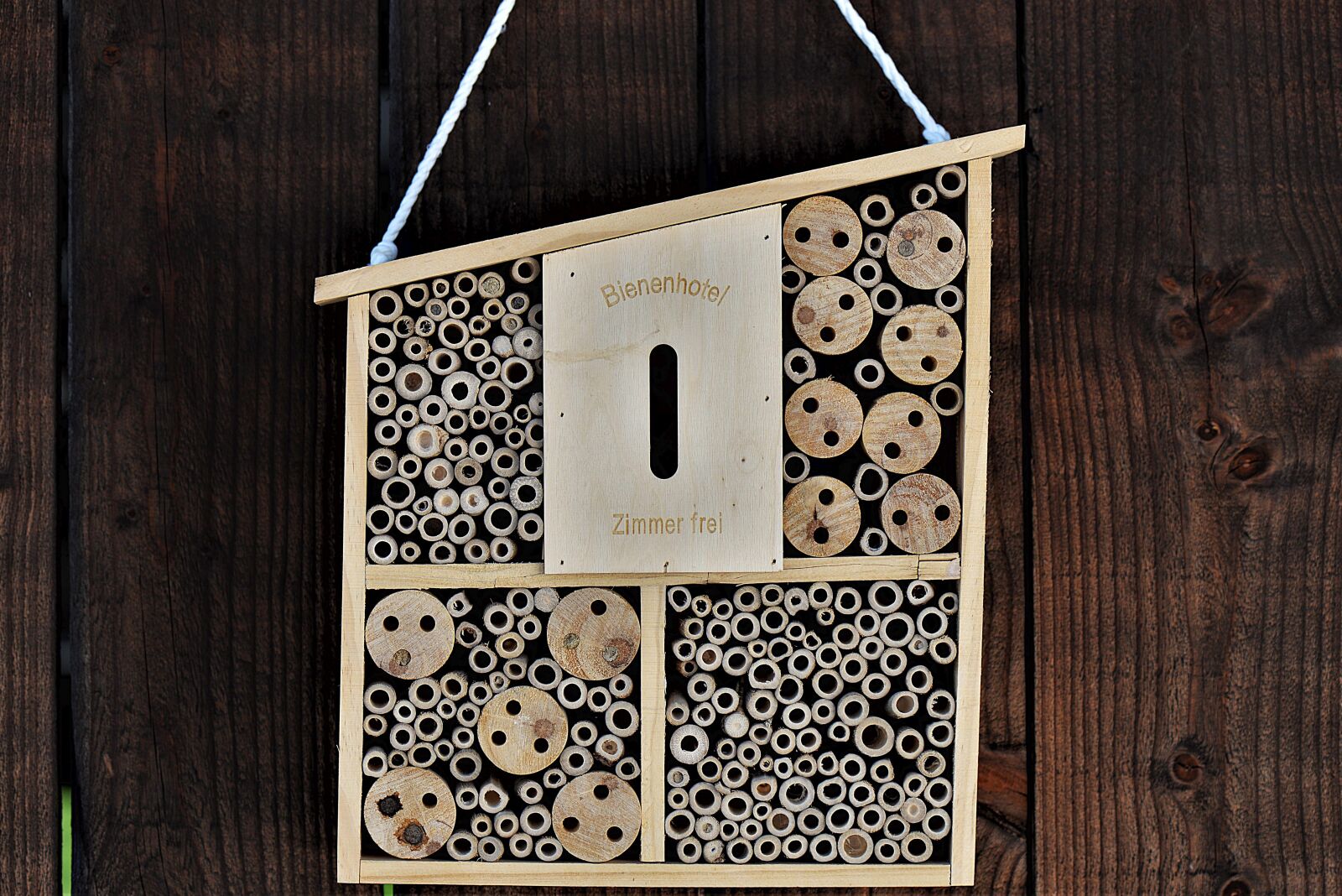 Nikon D610 sample photo. Insect hotel, wooden box photography