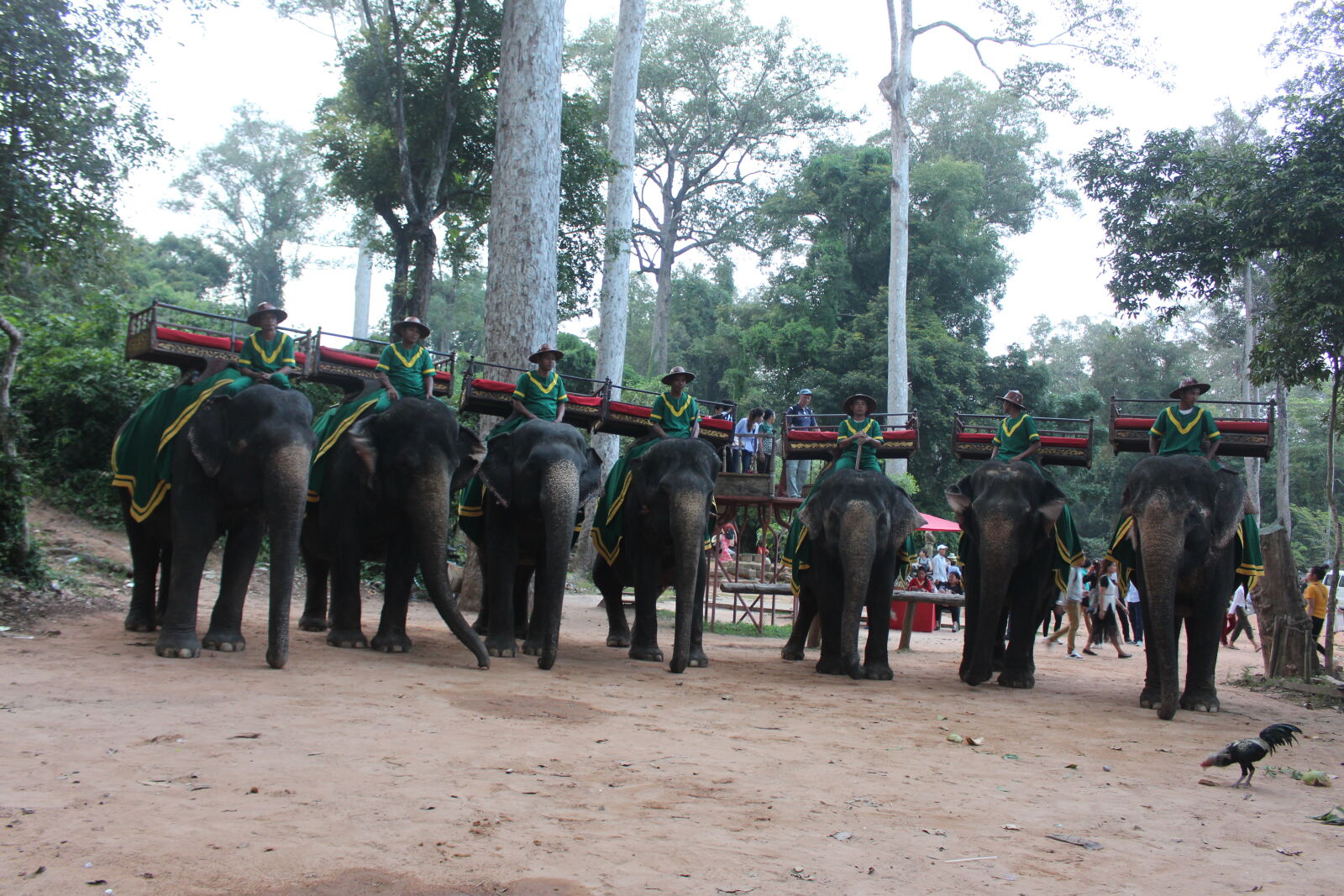 Canon EOS 700D (EOS Rebel T5i / EOS Kiss X7i) sample photo. Elephant photography