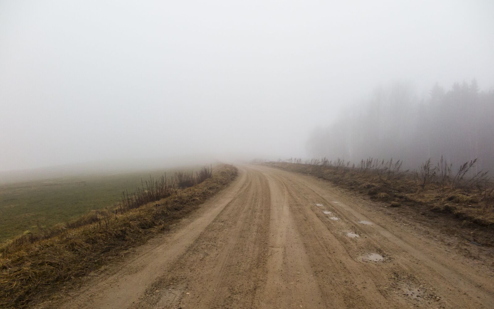 Canon PowerShot G1 X Mark II sample photo. Road, fog, landscape photography