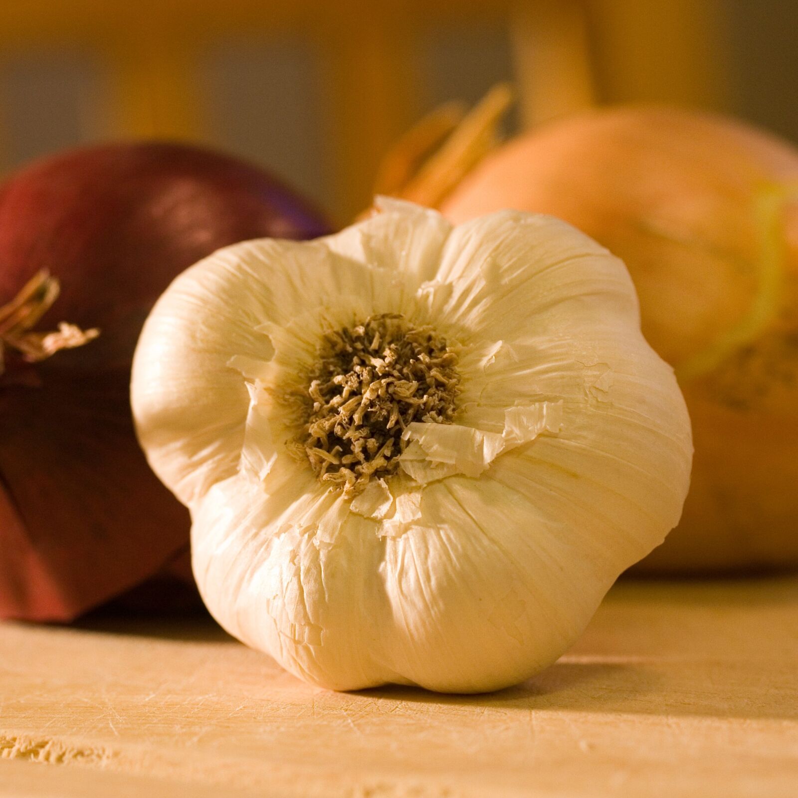 Canon EOS 350D (EOS Digital Rebel XT / EOS Kiss Digital N) sample photo. Garlic, onion, cutting board photography