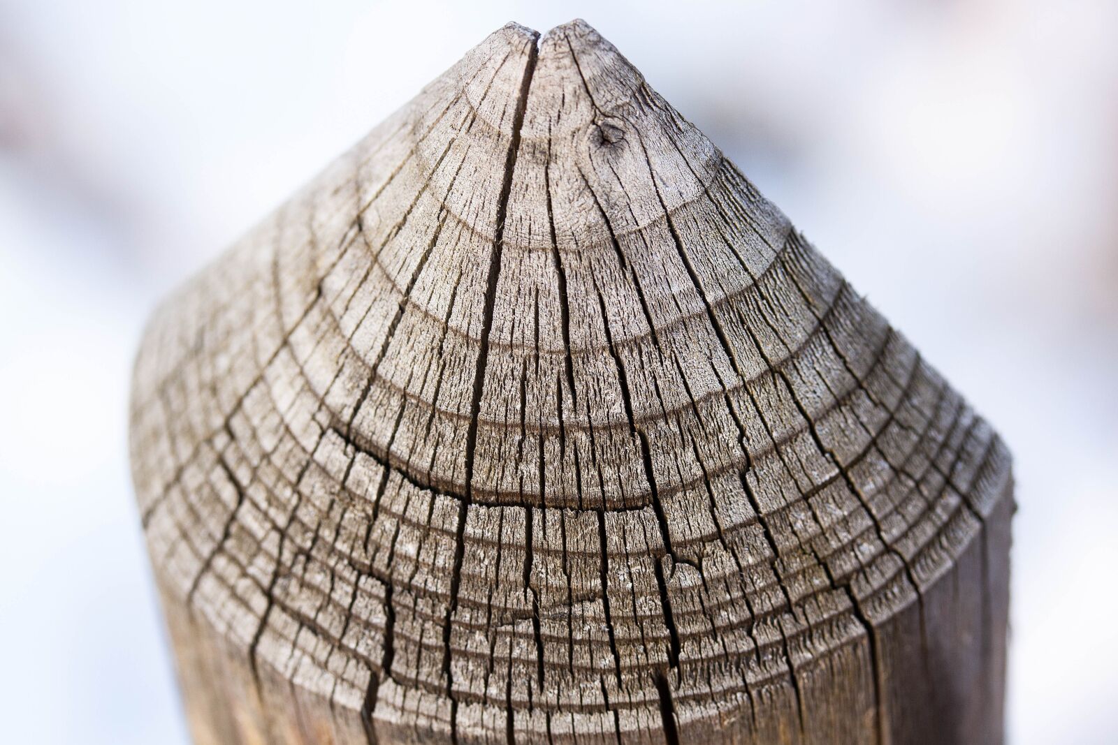 Canon EOS 50D sample photo. Fence, fence lath, limit photography