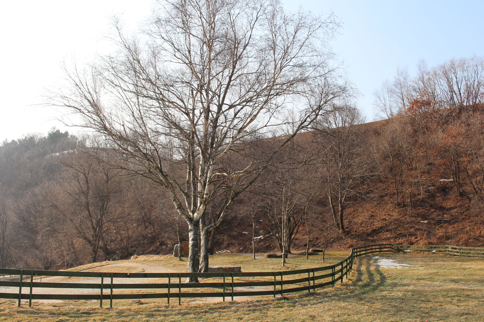 Canon EOS 700D (EOS Rebel T5i / EOS Kiss X7i) sample photo. Korea, snow, winter photography